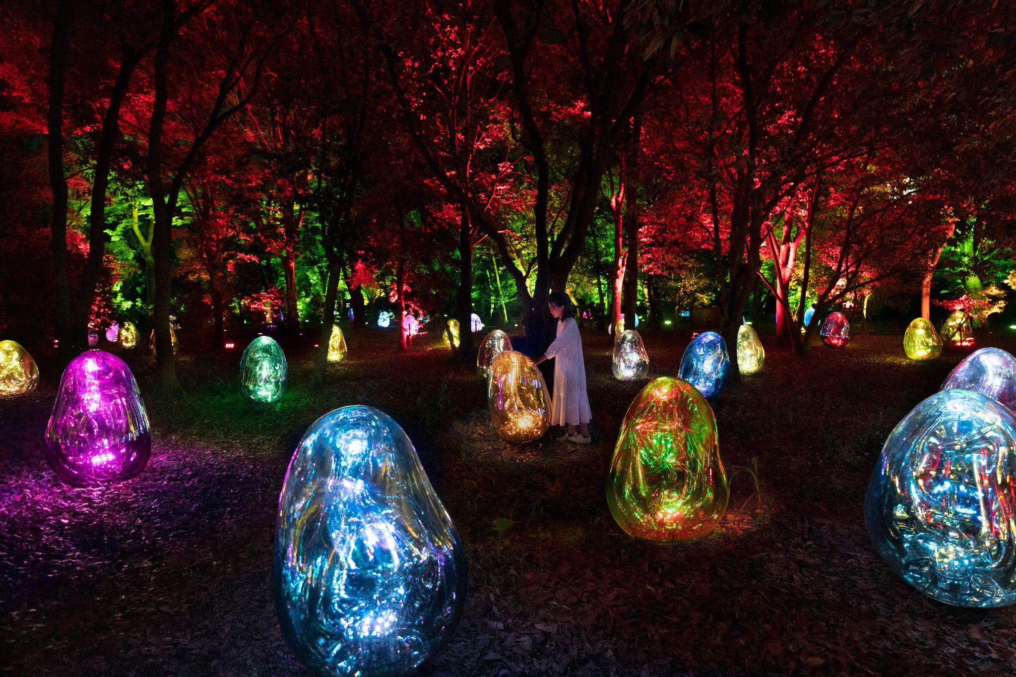 Osaka: teamLab Botanical Garden Night Entry