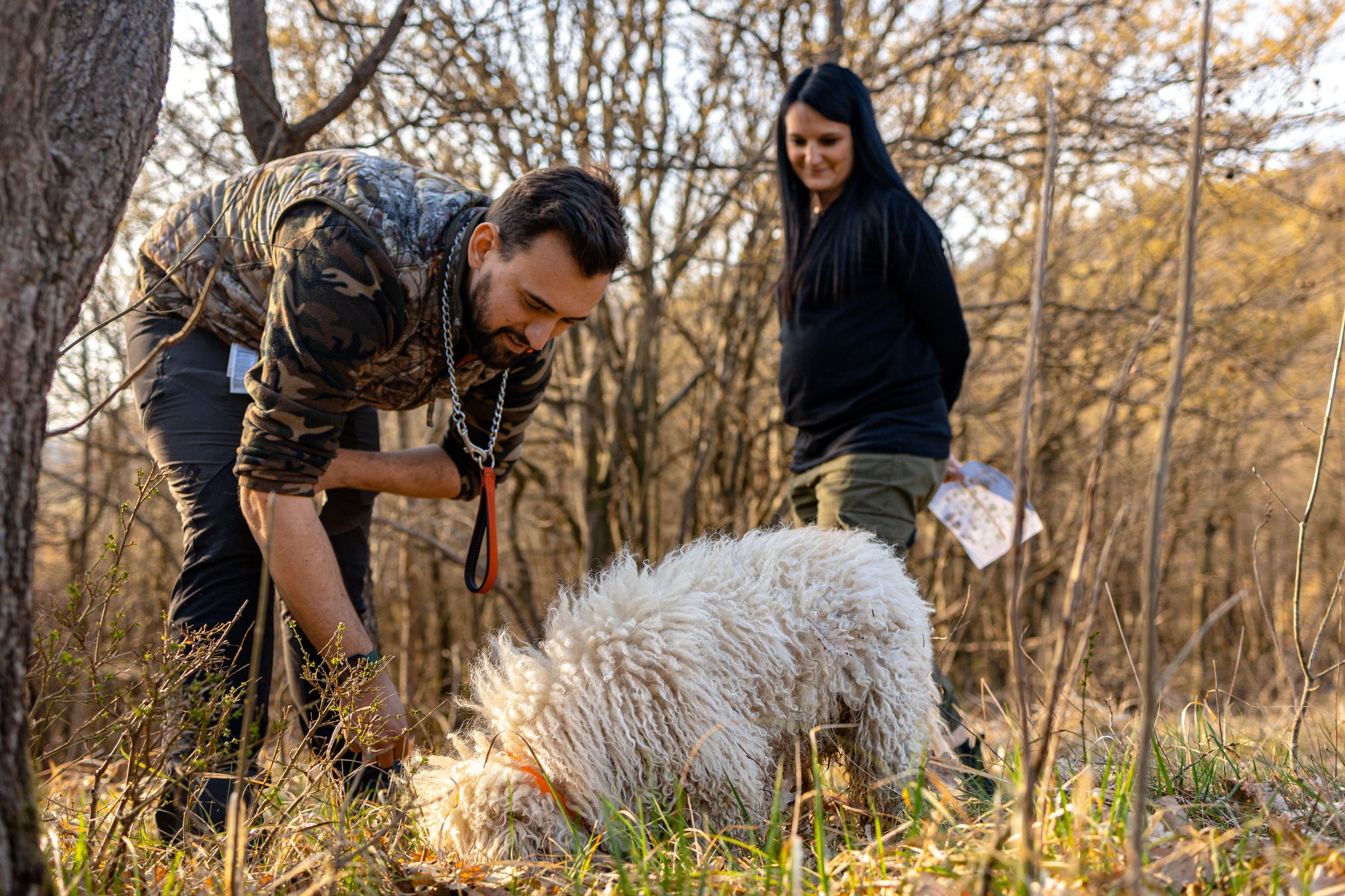 Sunset Truffle Hunt with Wine & Tasting in Langhe