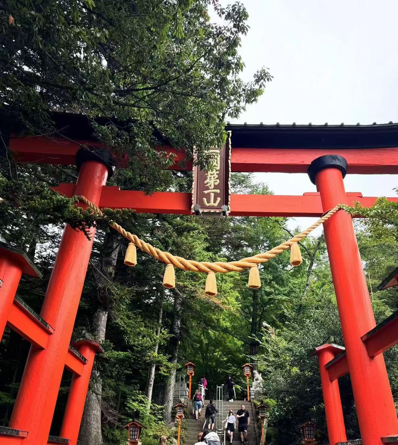 Mount Fuji Day Trip: Scenic Parks, Springs, and Photo Hotspots