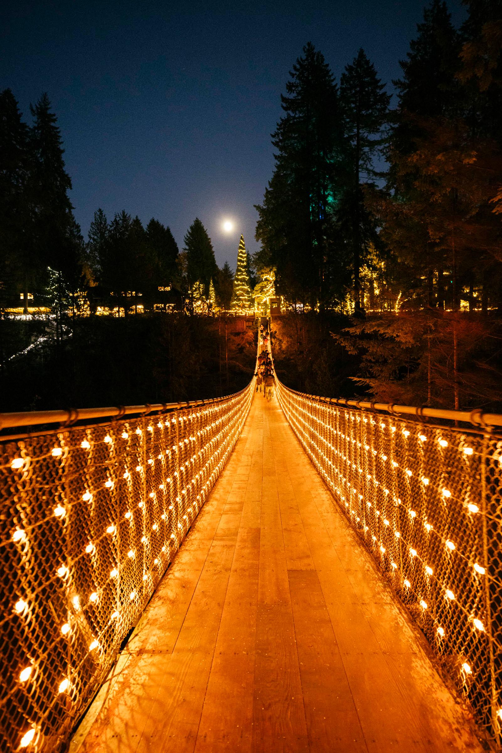 Vancouver North Shore & Capilano Canyon Lights Explorer