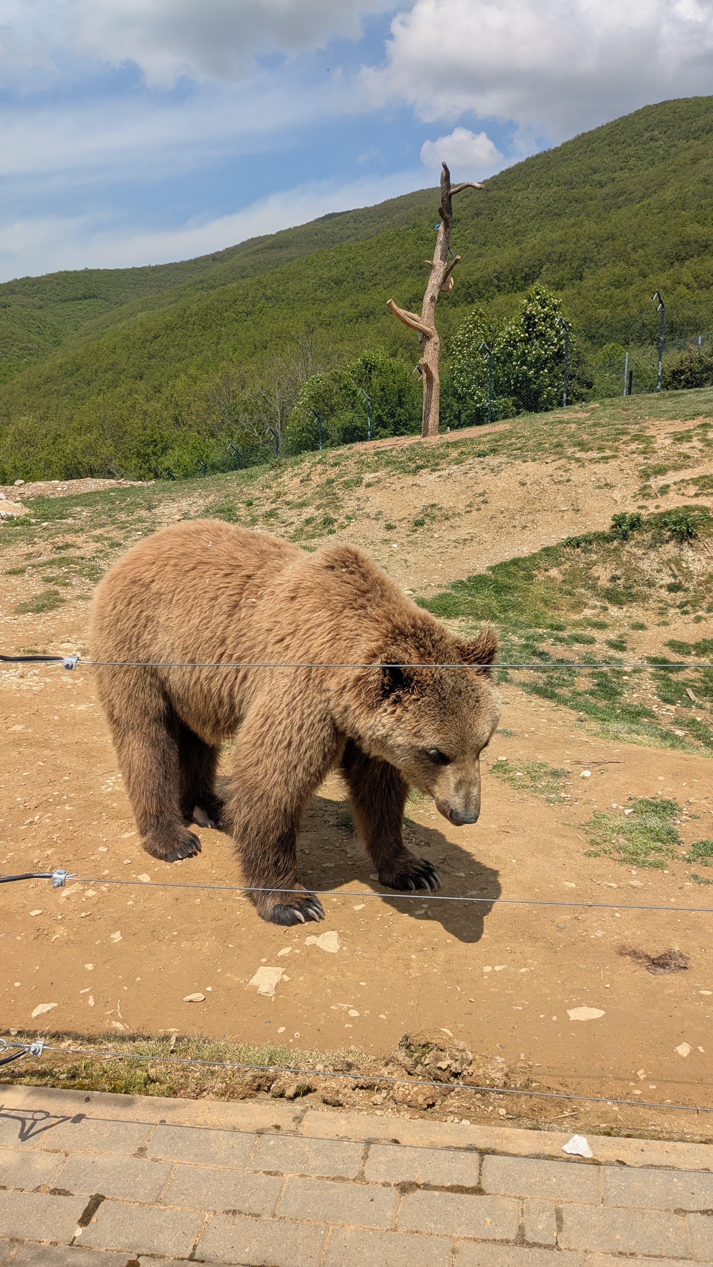Kosovo Discovery: Marble Cave, Gracanica Monastery & Pristina Day Trip