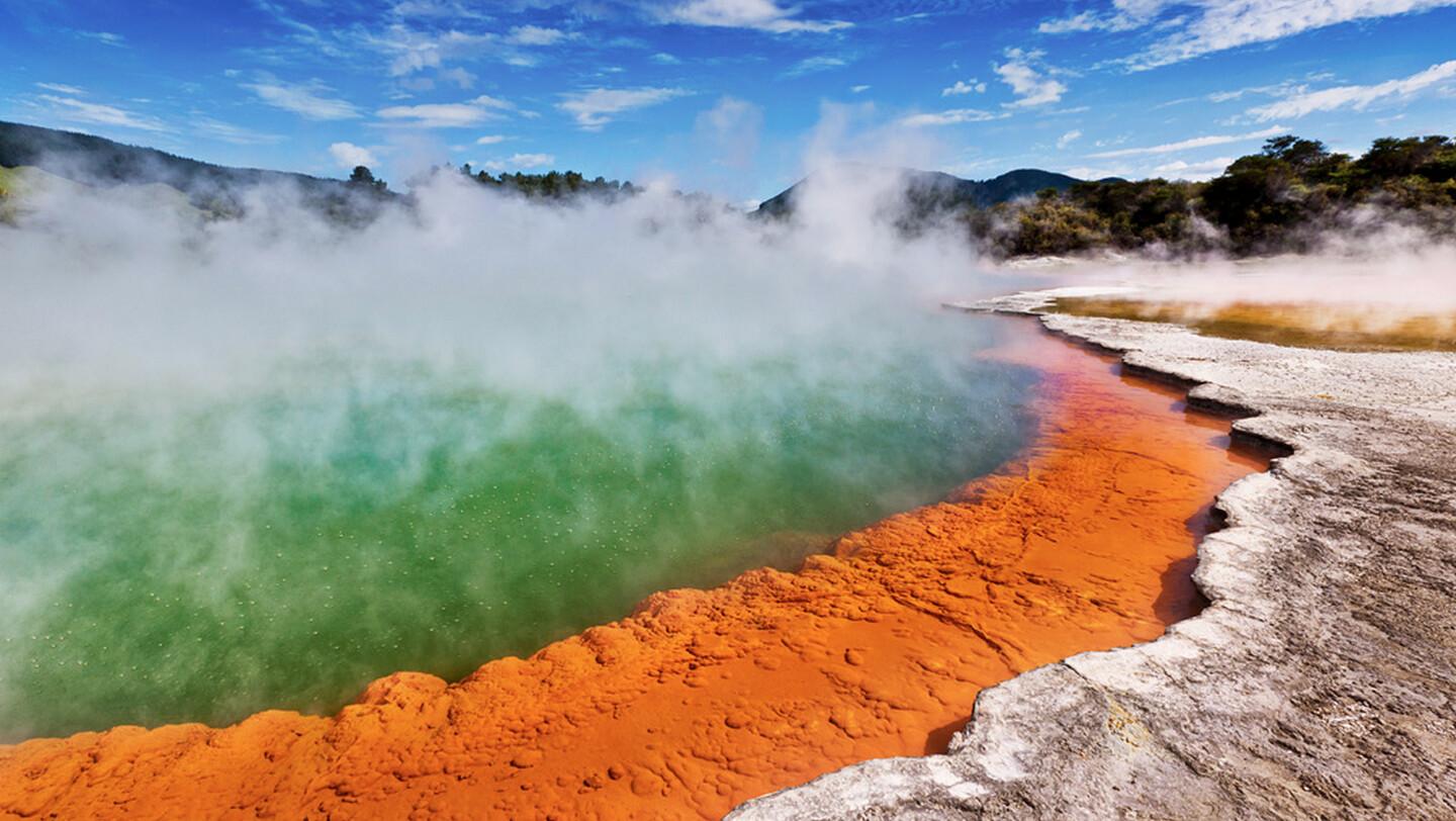 Half-Day Tour - Ex Rotorua: WAI-O-TAPU Thermal Wonderland - 2026 (Verified Reviews)