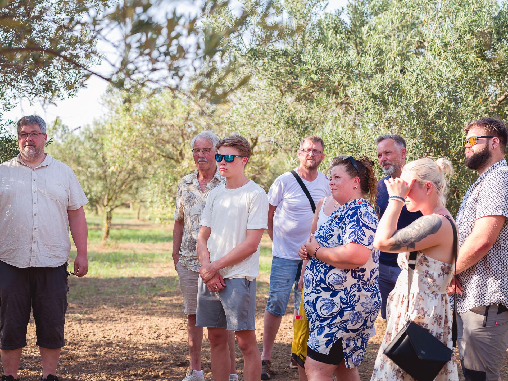 olive oil tasting in Sicily — photo 10
