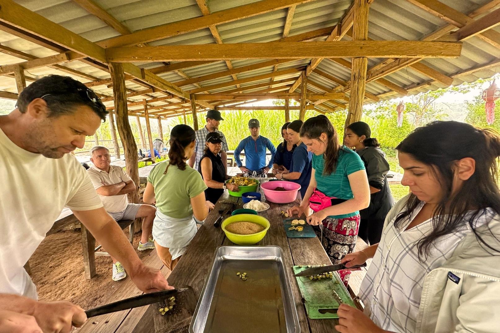 Chiang Mai: Ethical Elephant Tour & Pad Thai Cooking