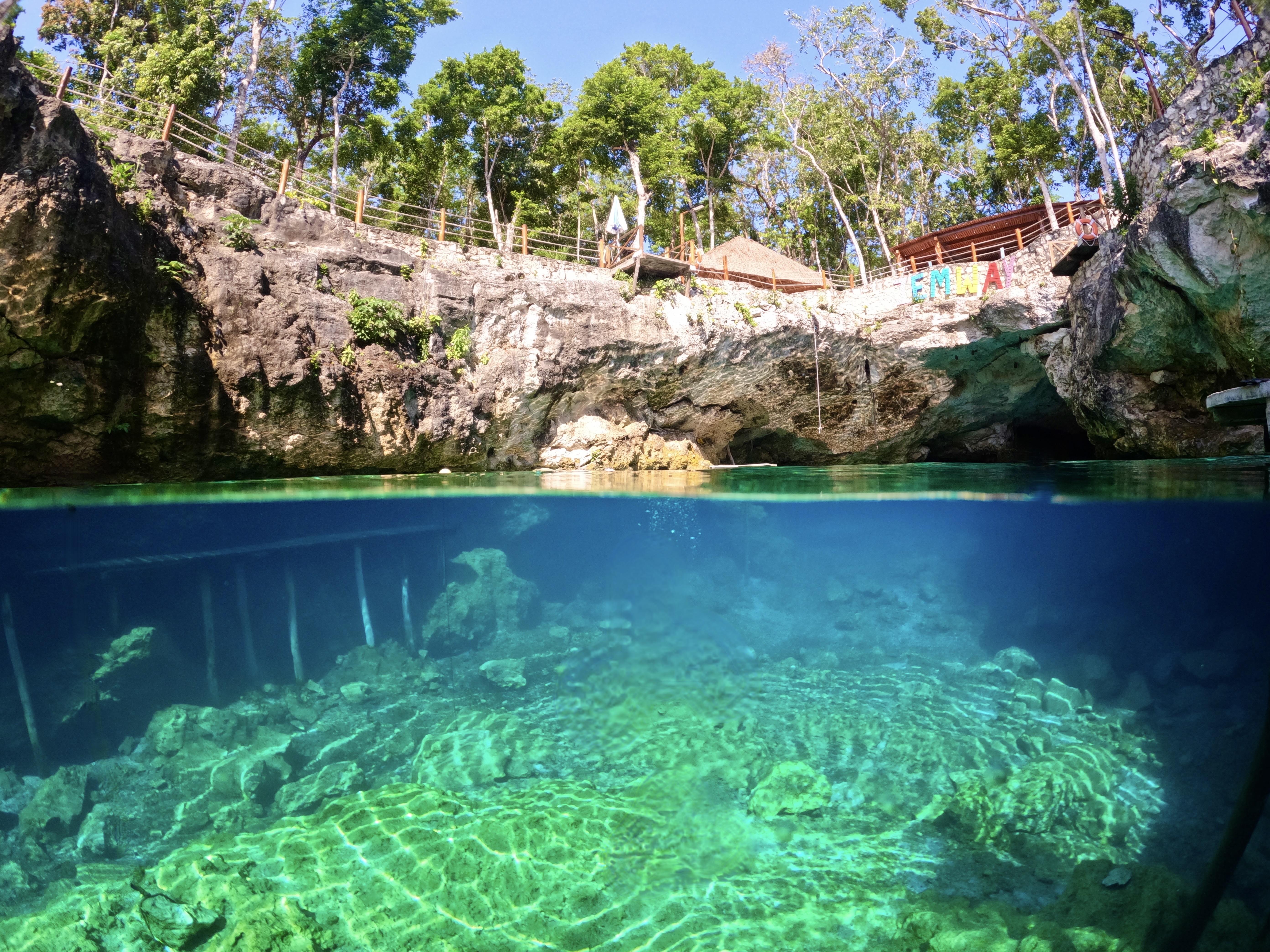 Clear cenote water below a rocky, tree-lined rim
