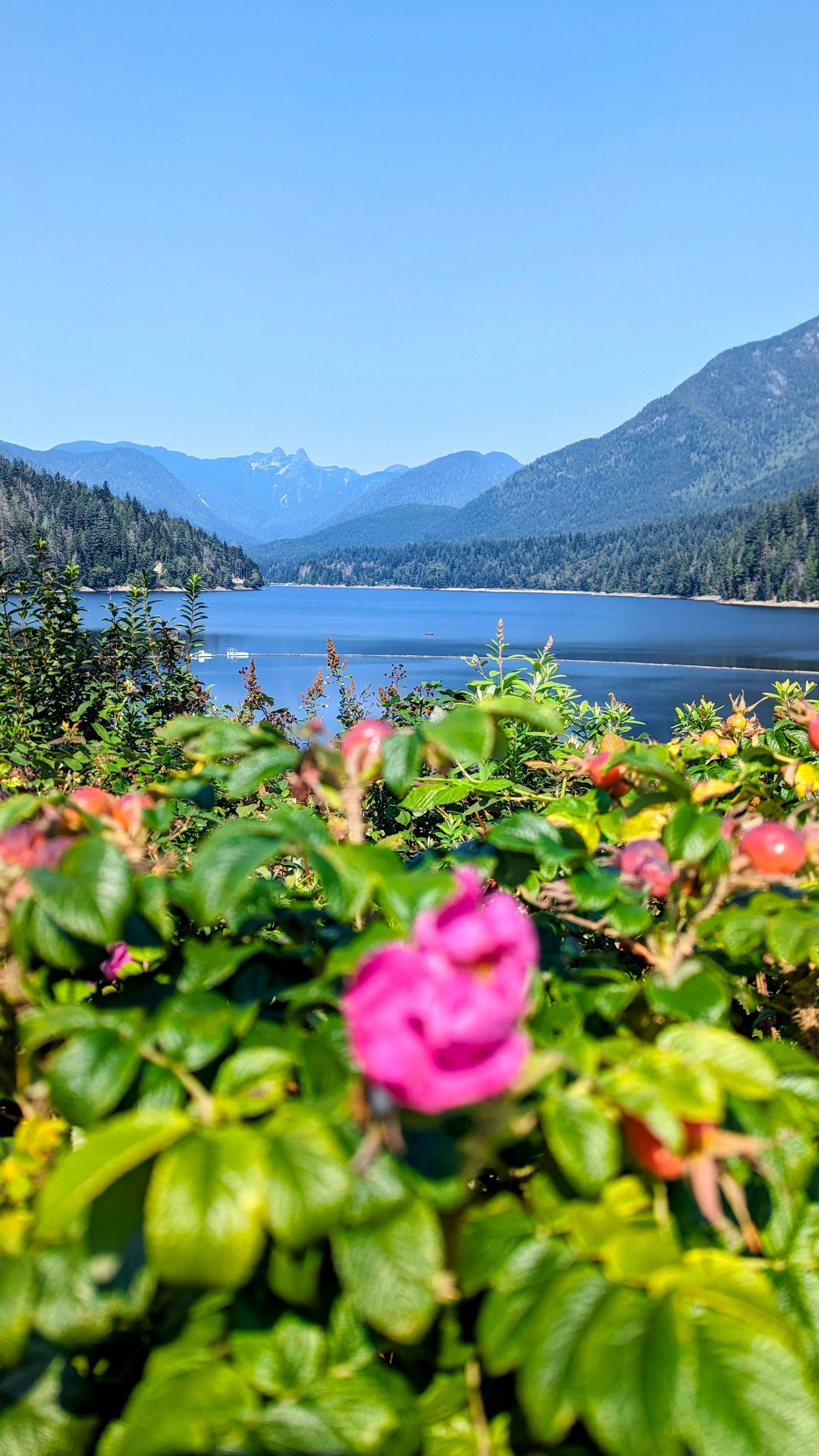 Vancouver North Shore & Capilano Canyon Lights Explorer