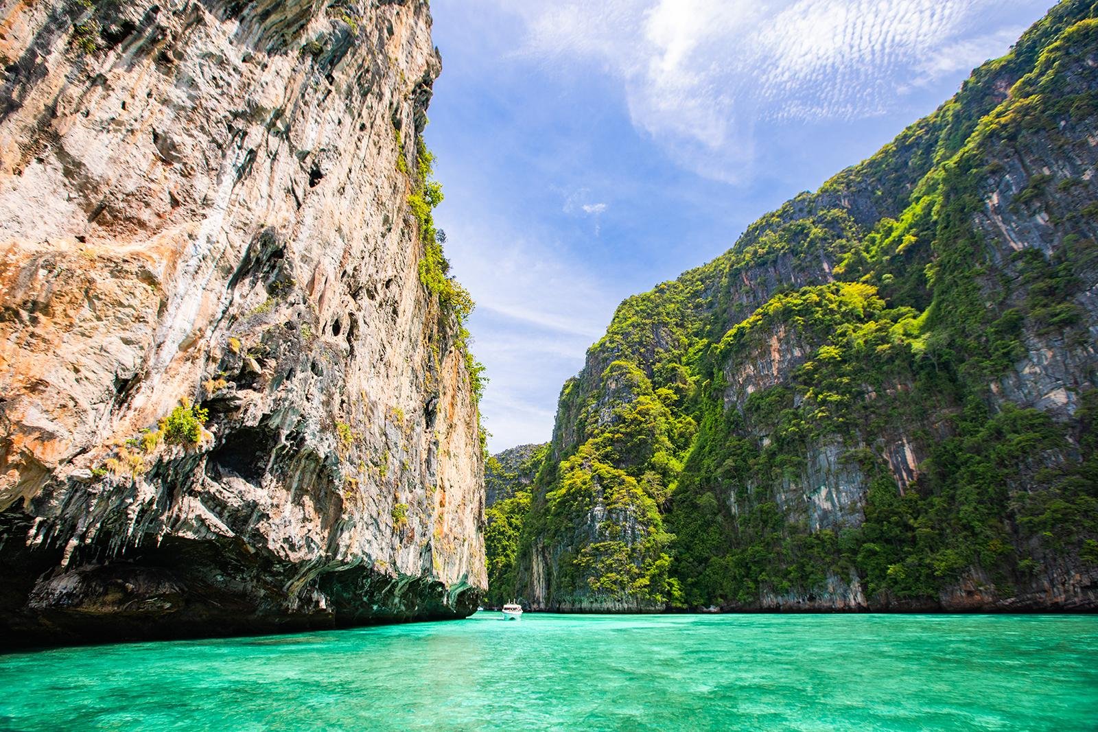 Private Longtail Boat Expedition: Phi Phi & Bamboo Islands