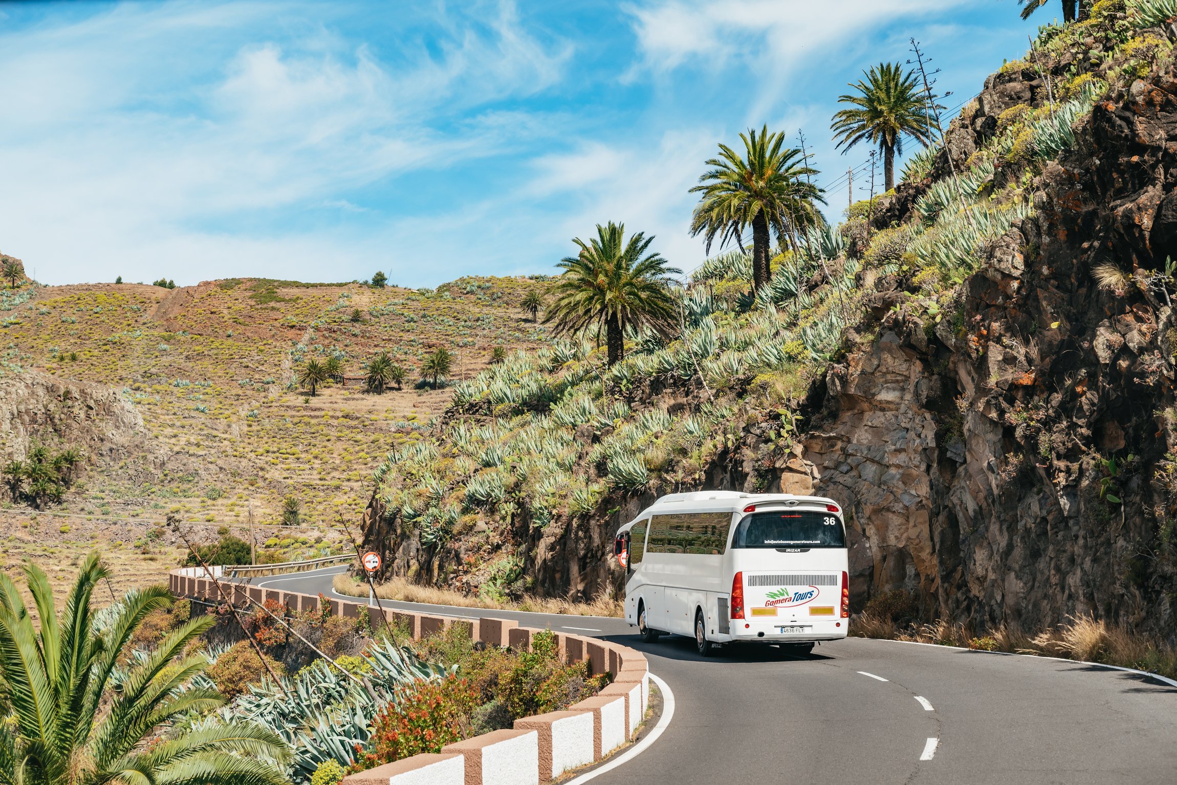 La Gomera Island Full-Day Expedition from South Tenerife