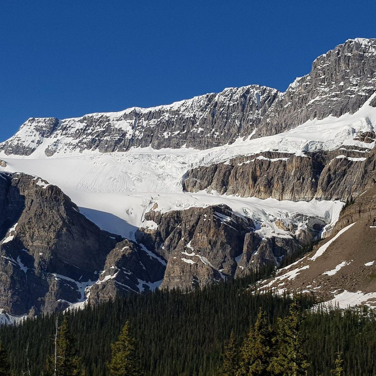 Icefields Parkway Glaciers Explained Day Tour