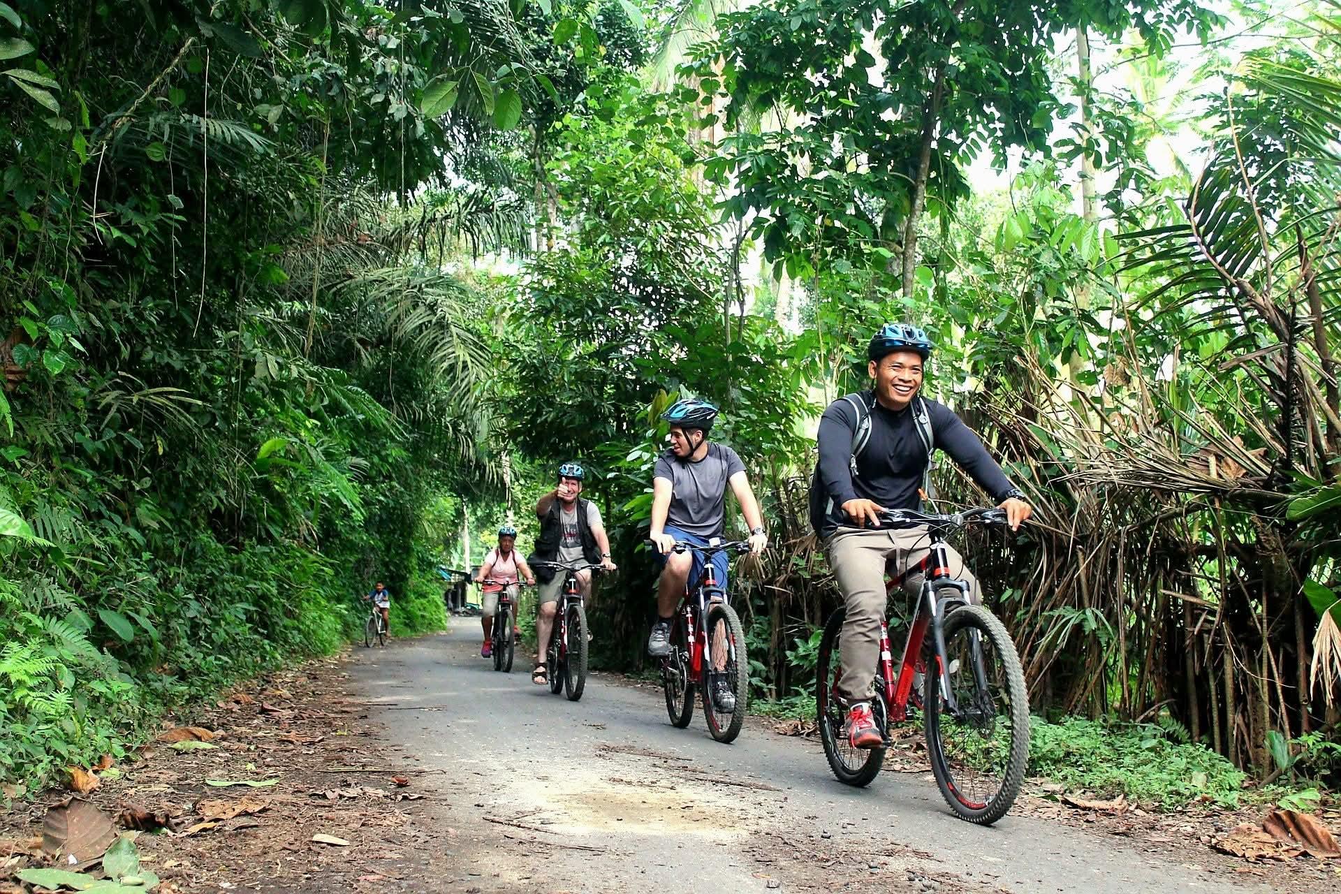 Kintamani Downhill Cycling & Fireflies Experience