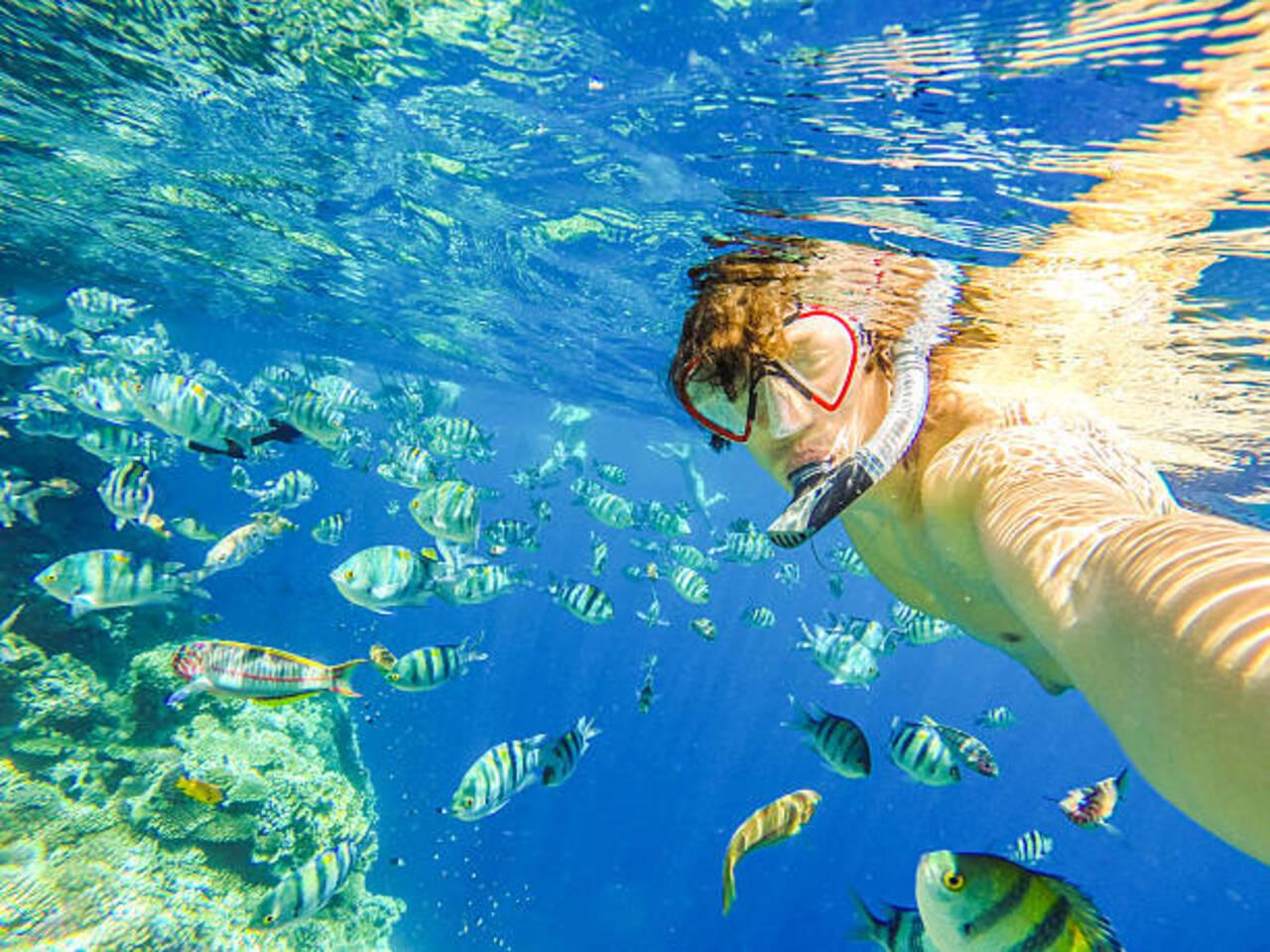 Sosúa Bay Snorkeling Adventure with Marine Scientist