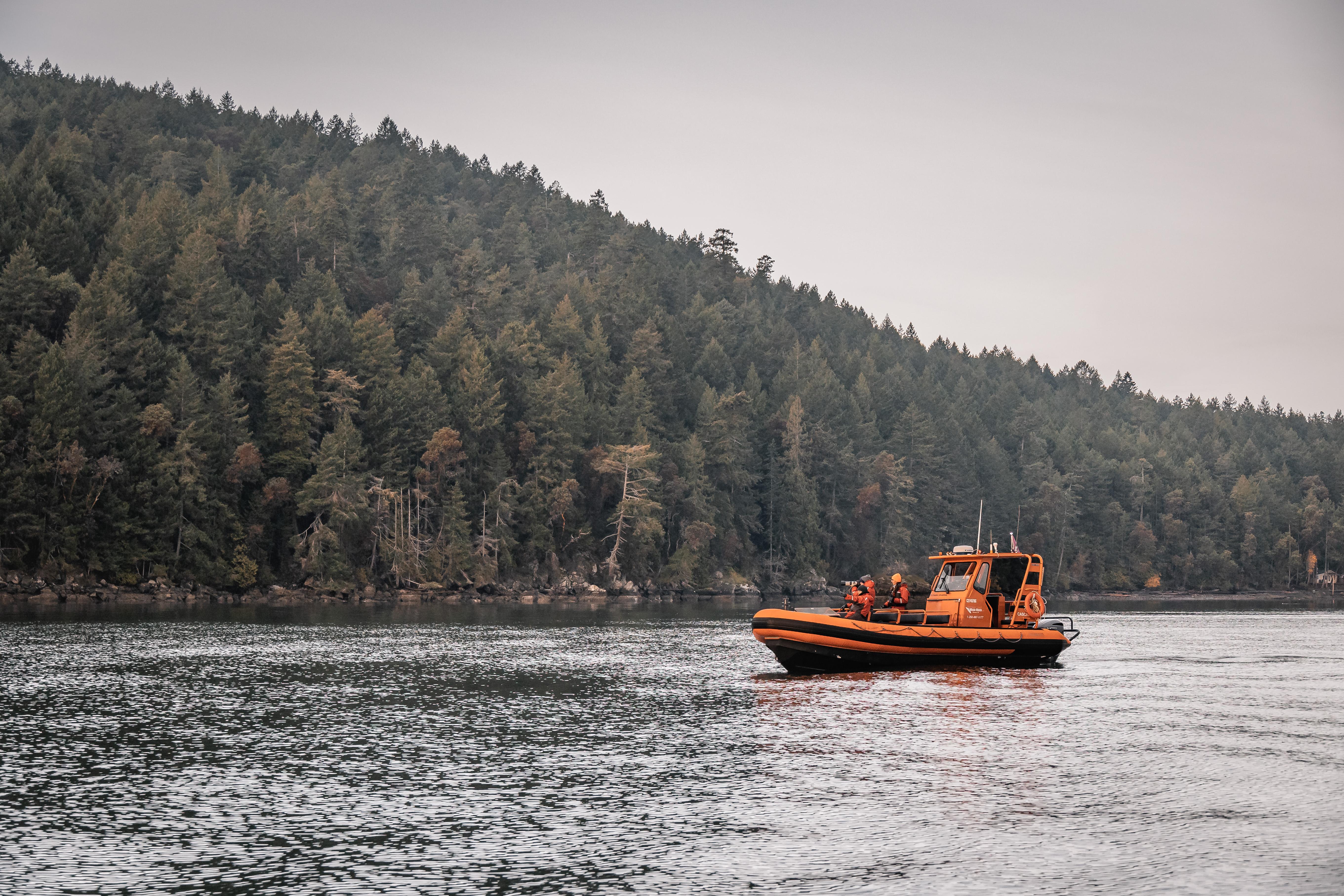 Private Whale Watching Adventure in Nanaimo