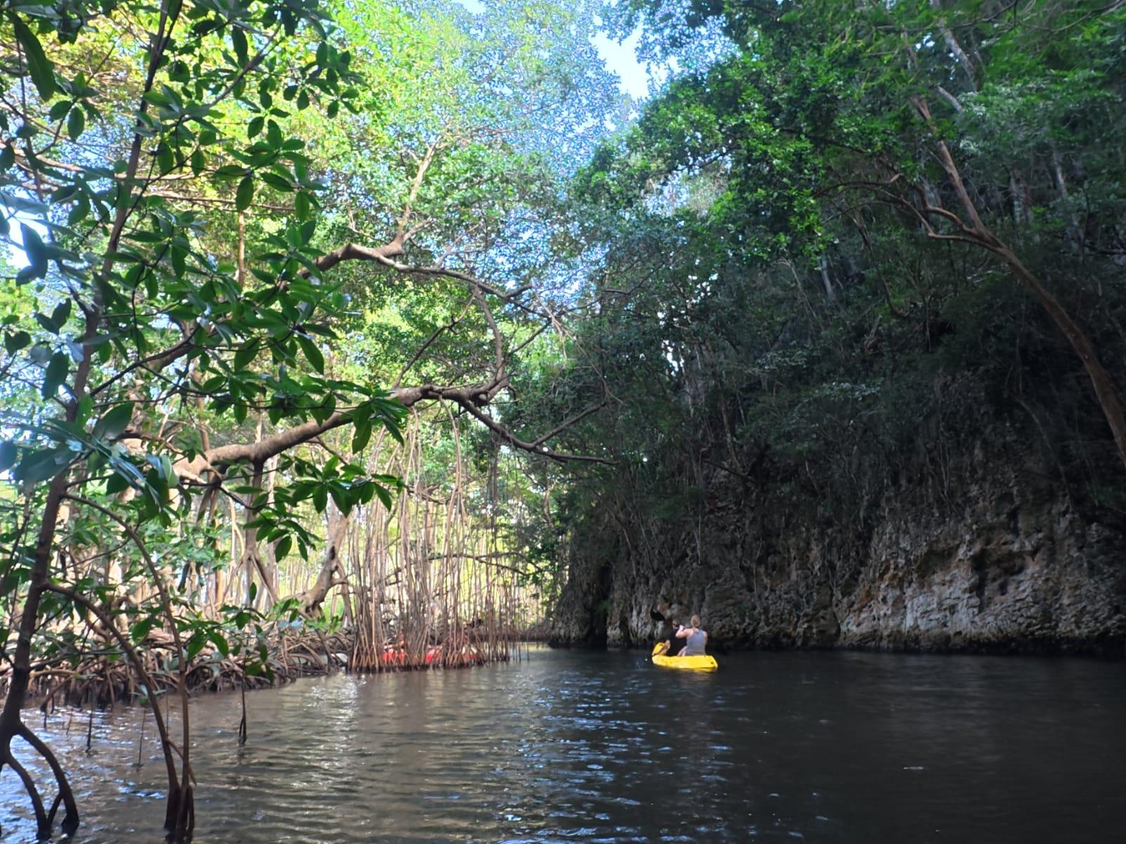 Samana: ATV Adventure, Kayaking, and Natural Pools
