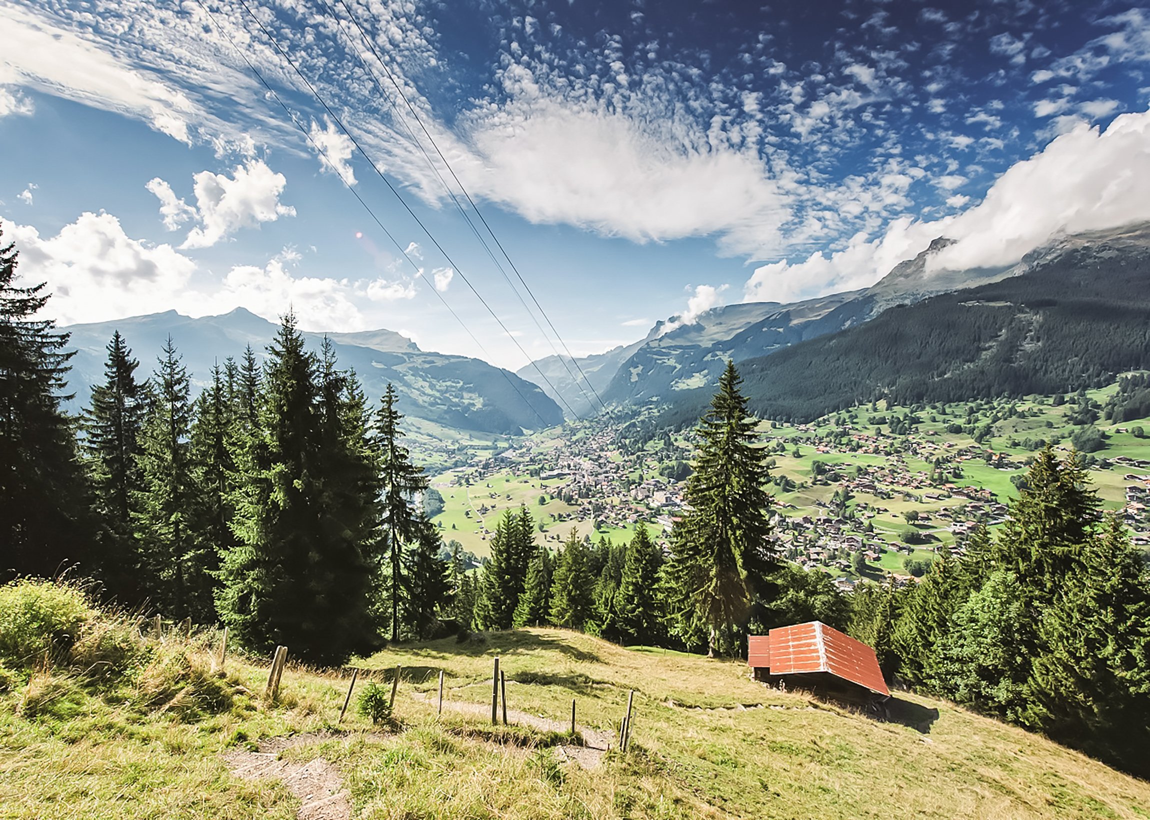Swiss Alps Day Trip: Grindelwald, Interlaken & Lauterbrunnen