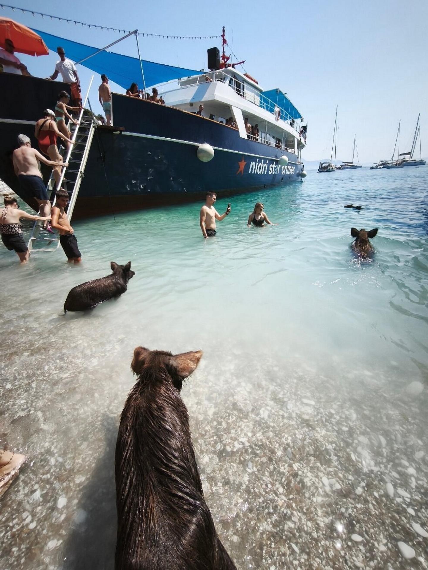 VIP All-Inclusive Piggy Cruise from Nydri