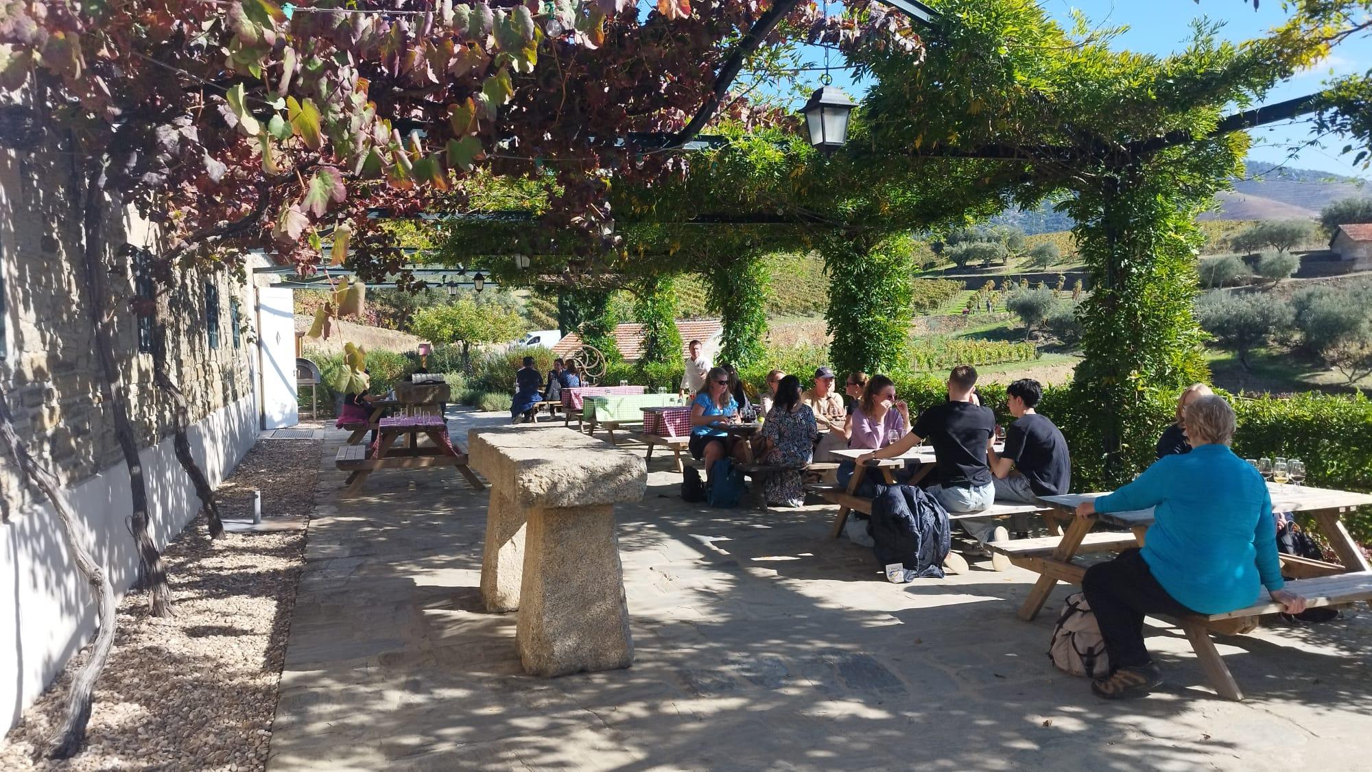 Douro Valley River Cruise & Wine Tasting from Pinhão