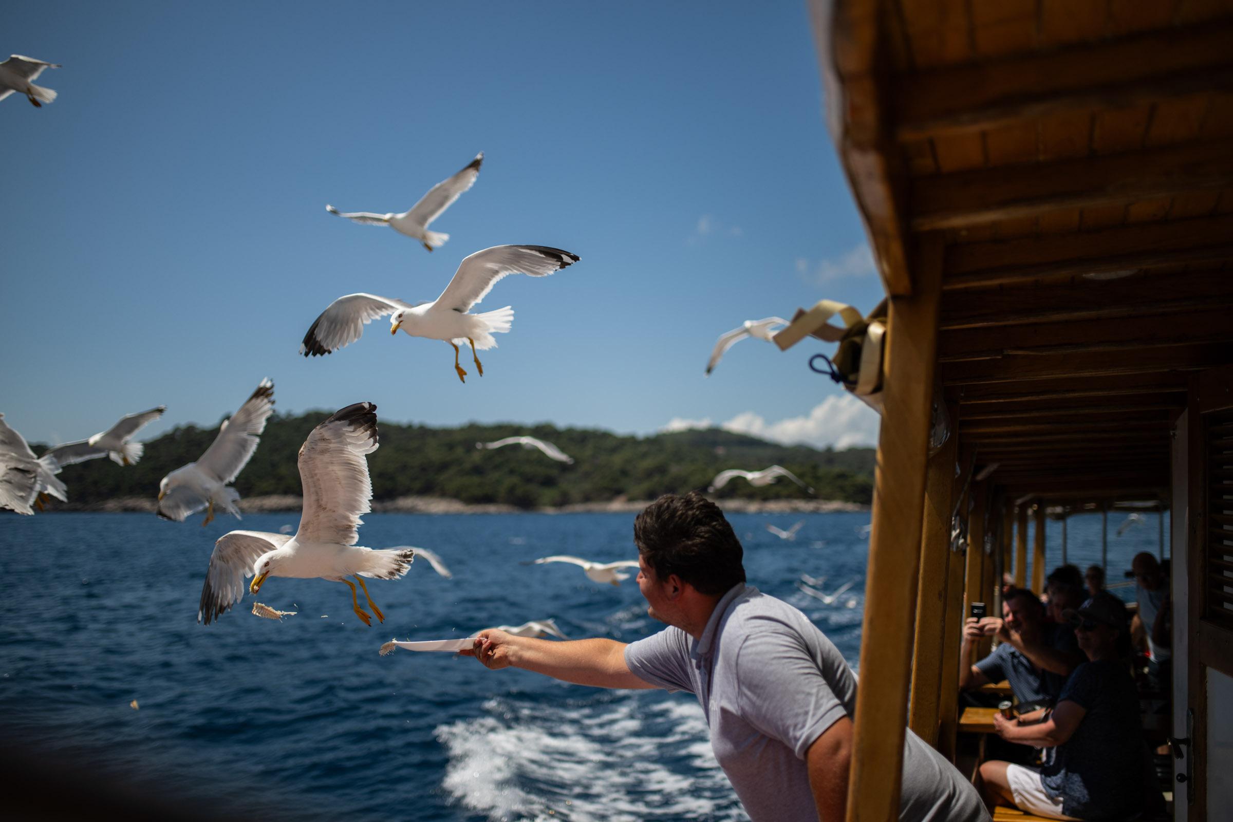 Elaphite Islands & Dubrovnik Walls Cruise