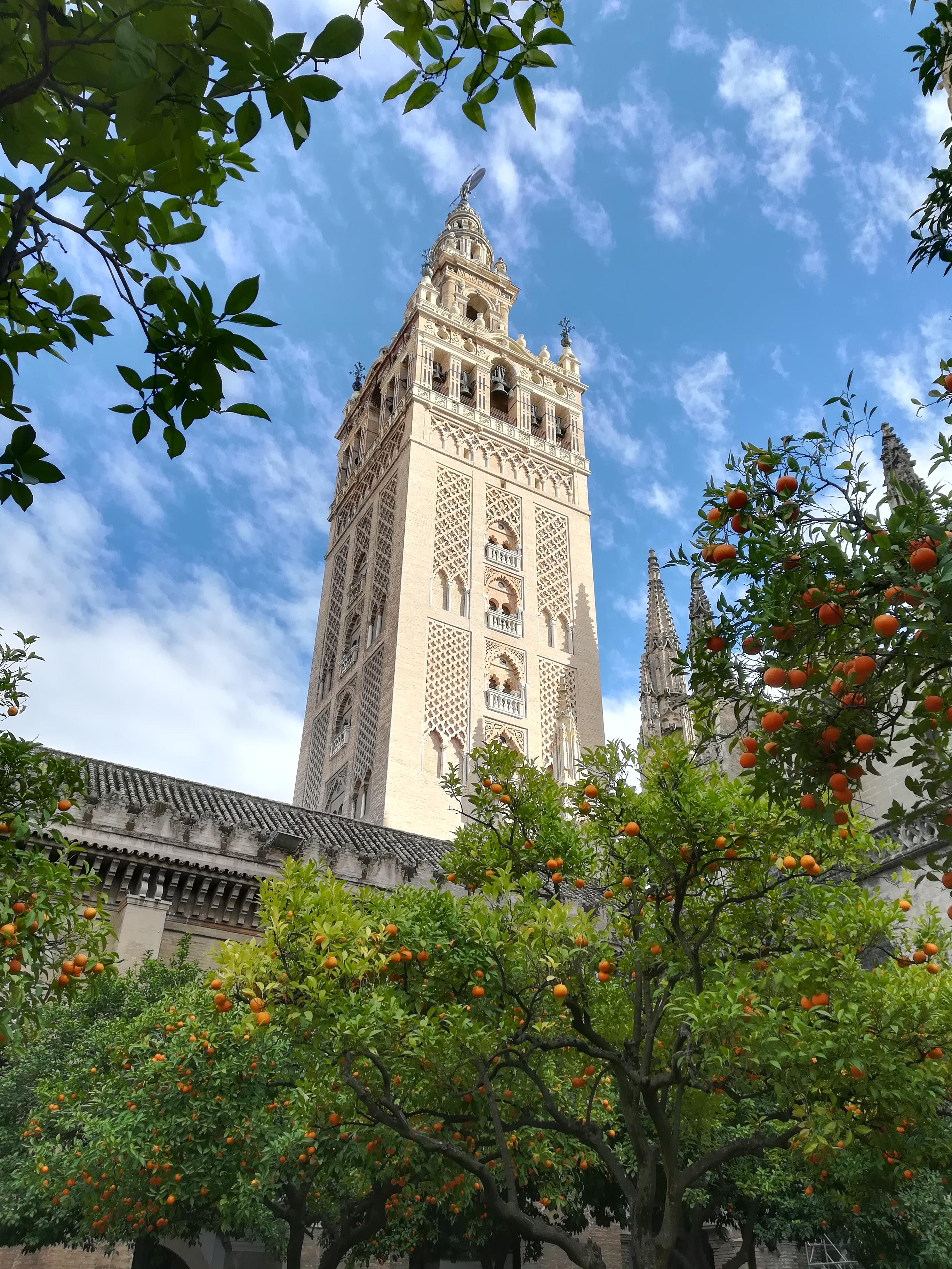 Seville Cathedral and Royal Alcazar Guided Tour