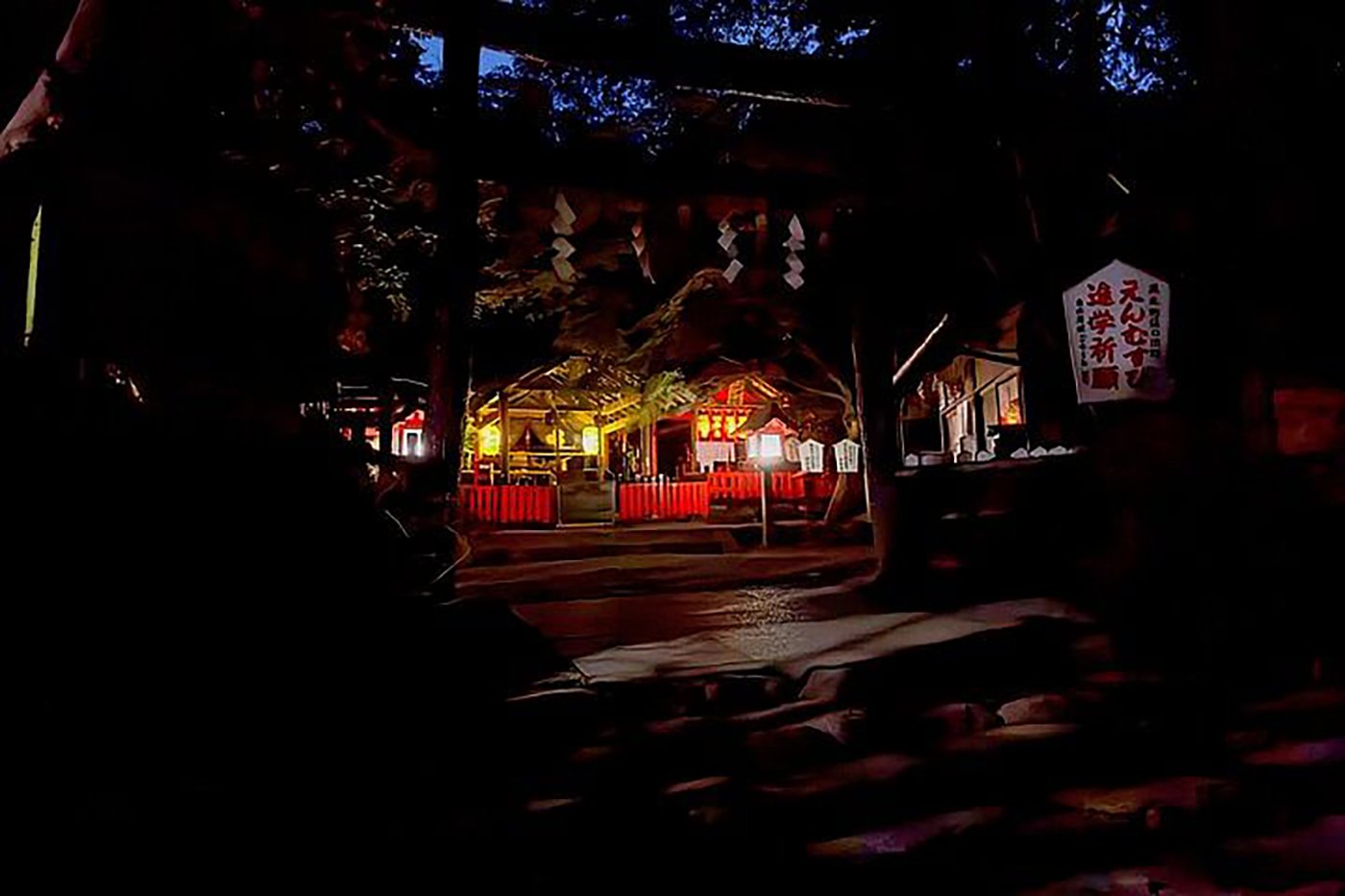 Kyoto experience — temples, geisha, bamboo grove — image 1