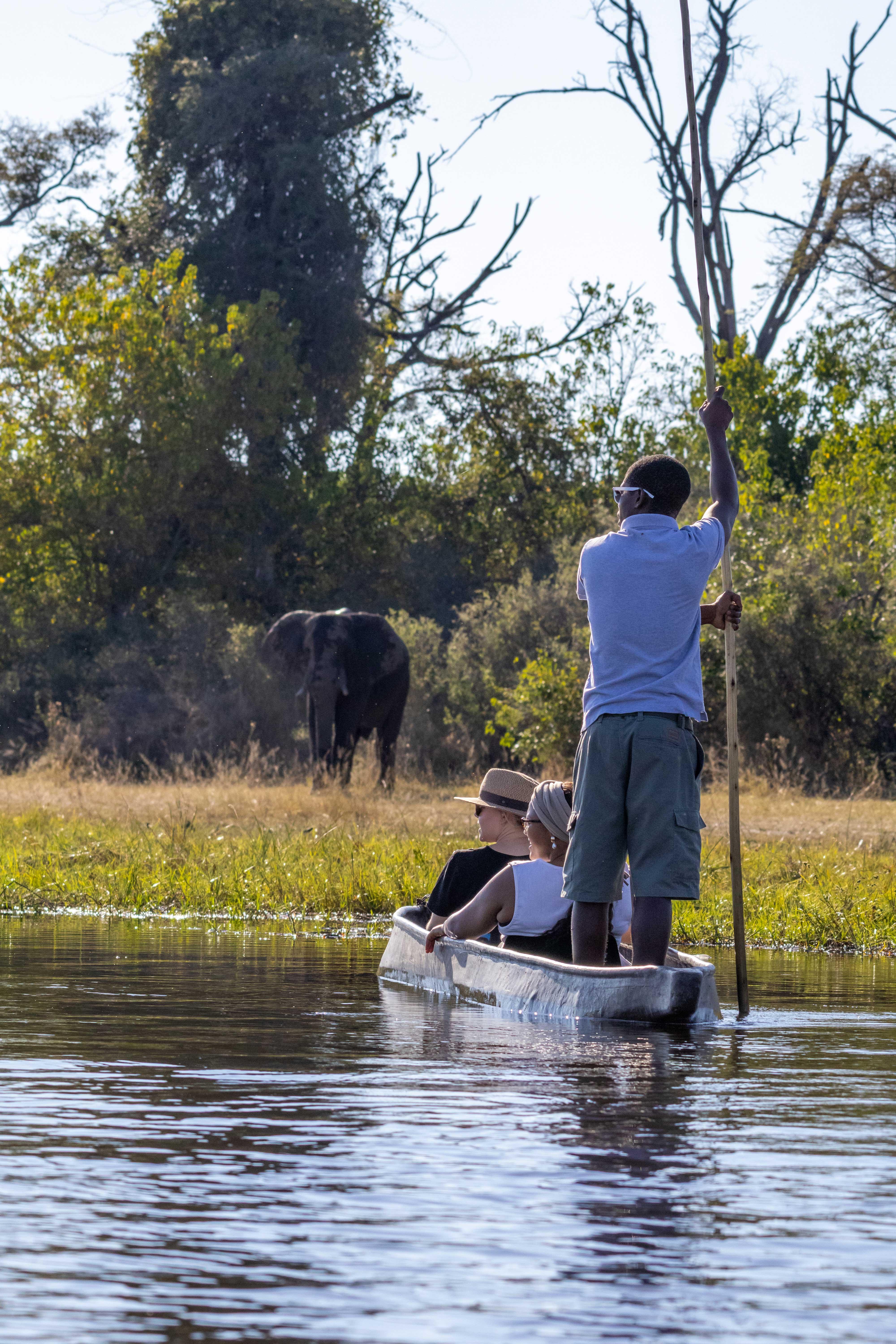 Helicopter & Mokoro Delta Experience
