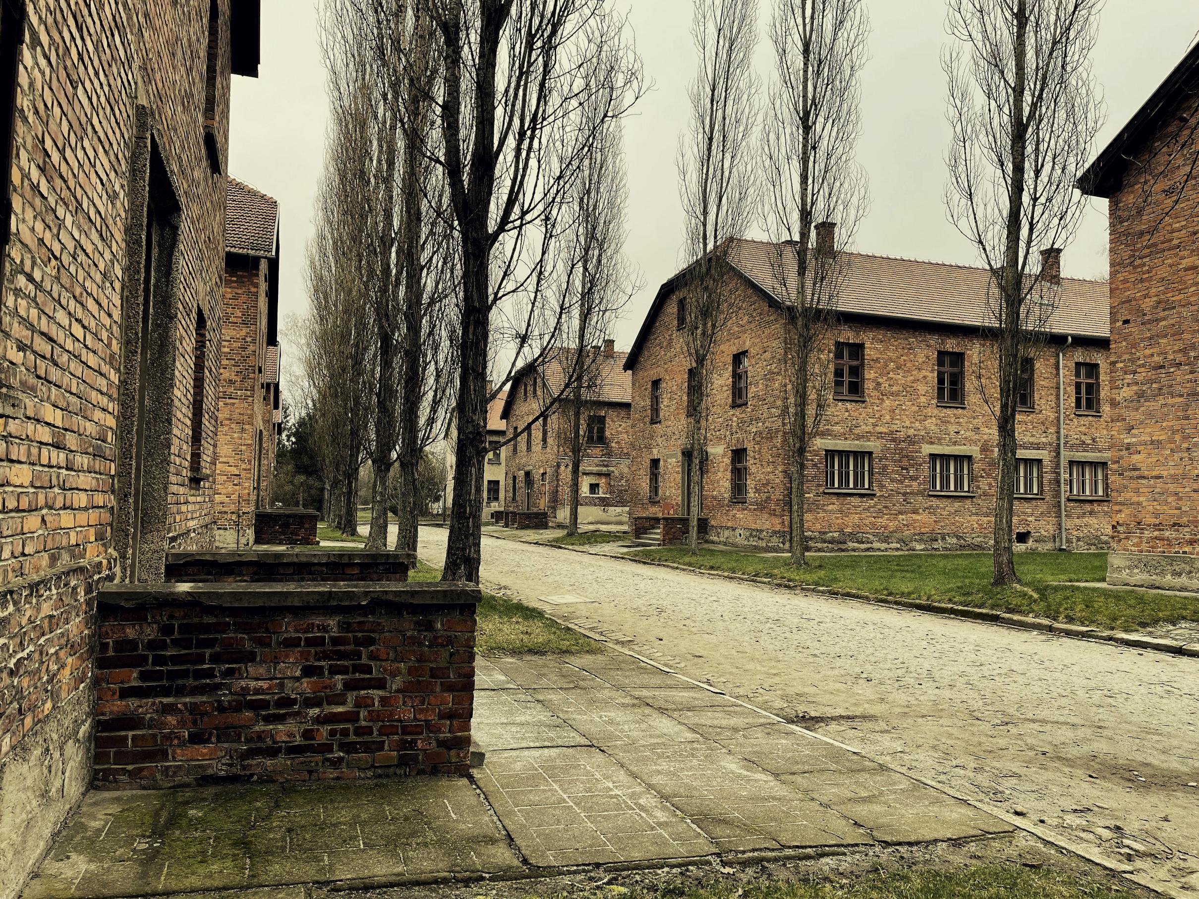 Krakow to Auschwitz-Birkenau Private Chauffeur Transfer