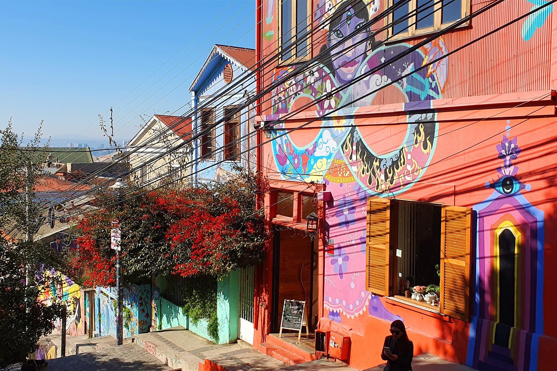 Valparaíso wine tour, the Casablanca Valley and Valparaíso's hills — image 50