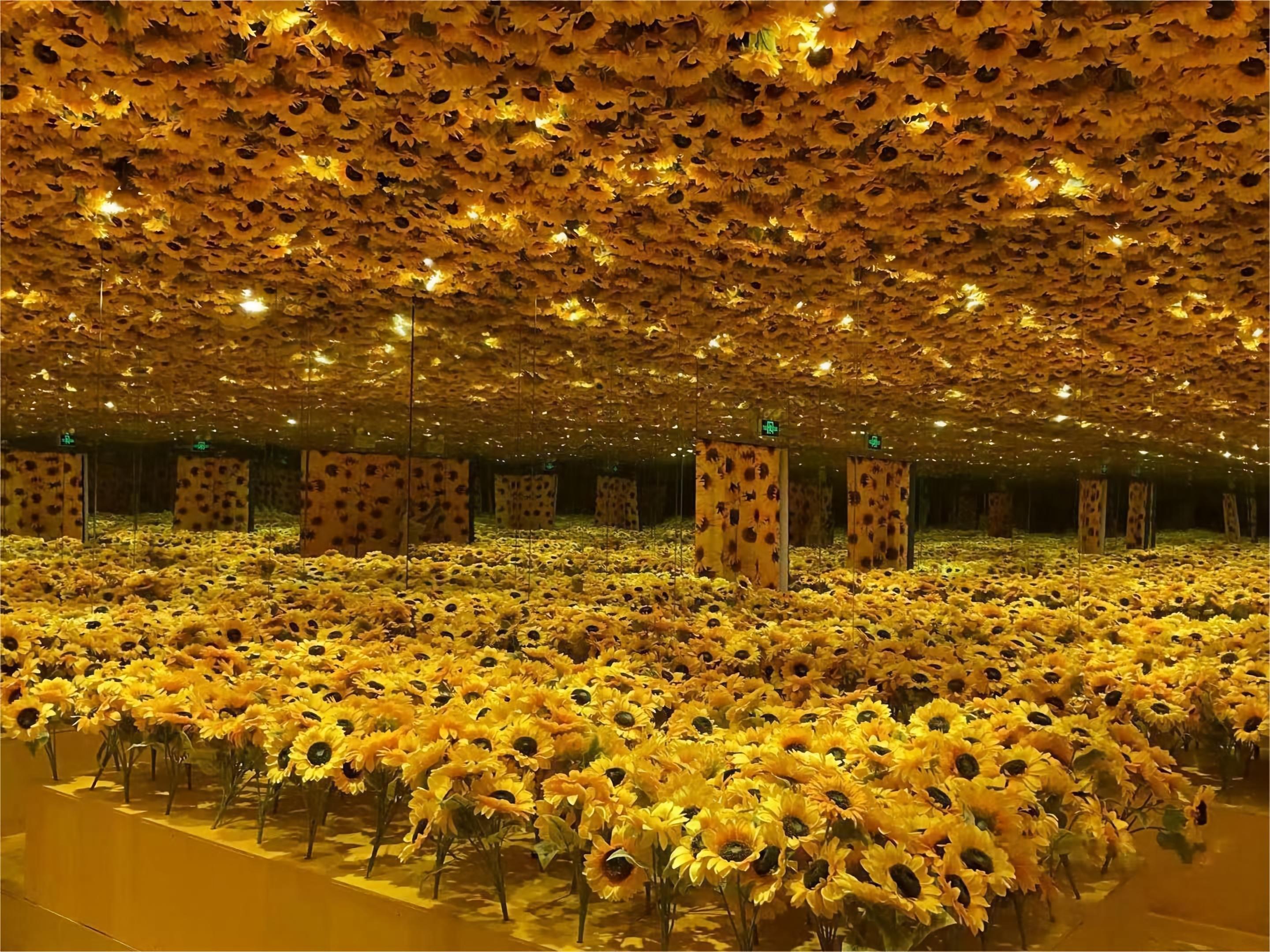 Van Gogh Immersive Art & Pearl River Night Cruise with Guide