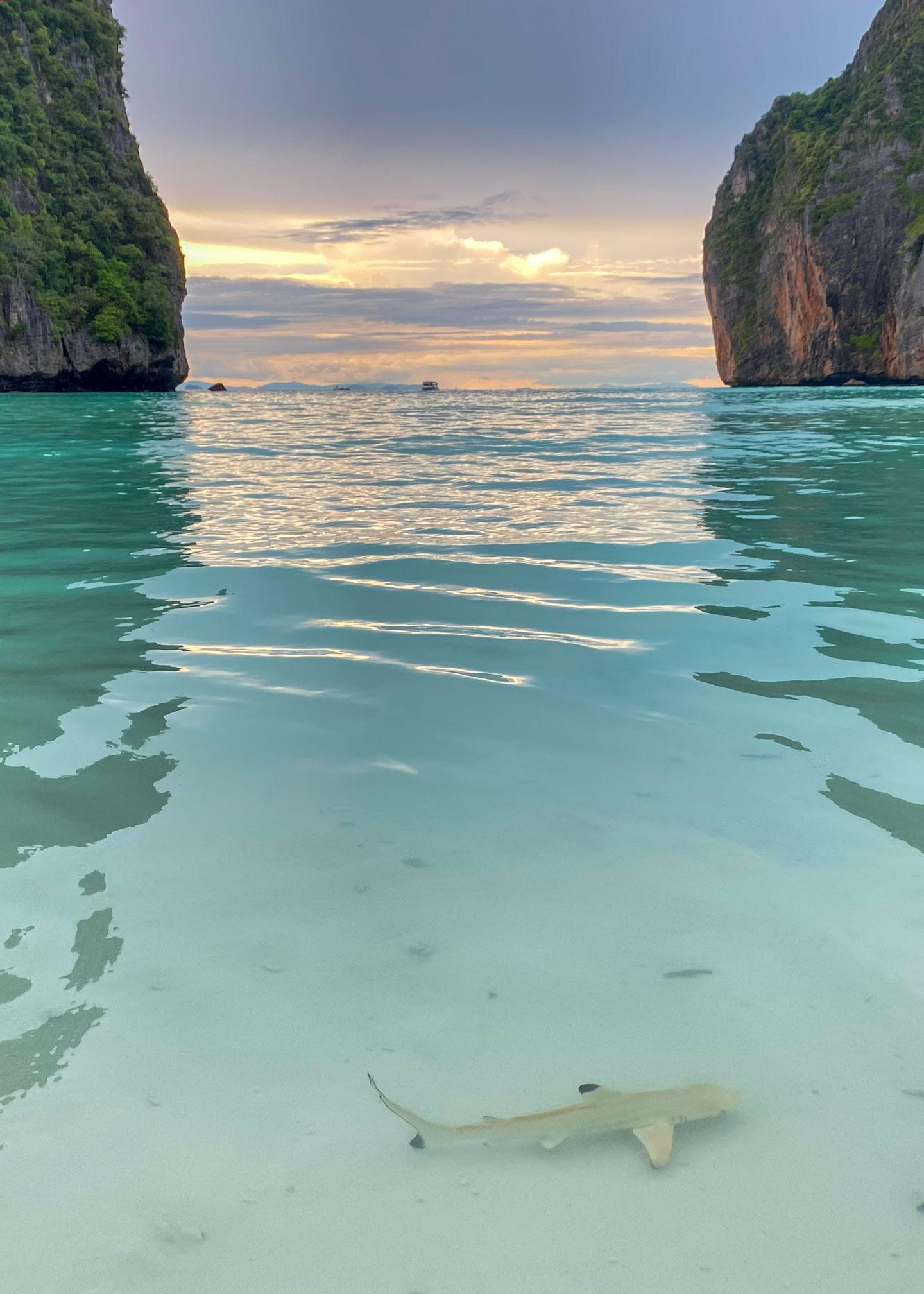 Private Koh Phi Phi Longtail Boat Expedition