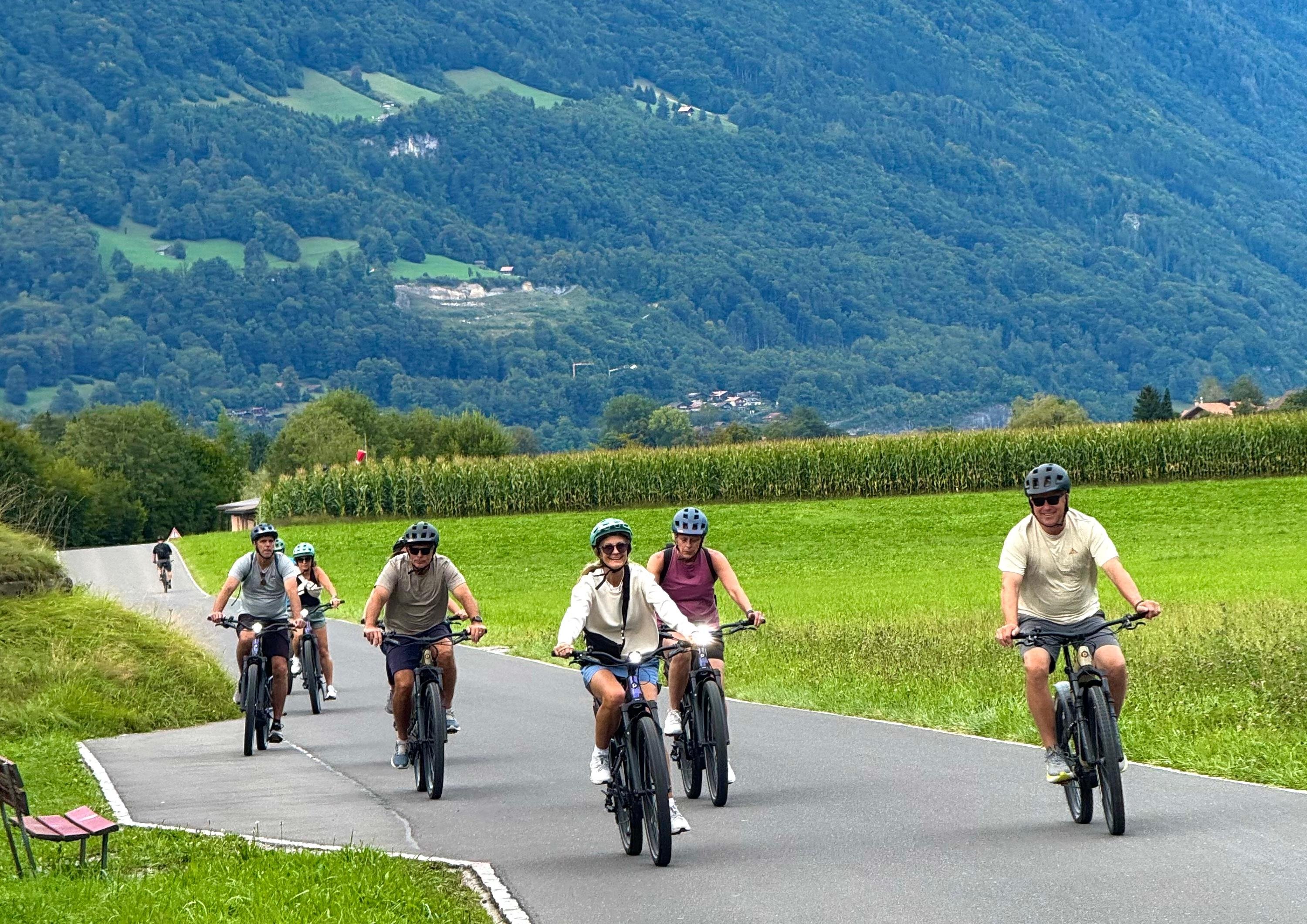 E-Bike Journey to Iseltwald & Giessbach Falls