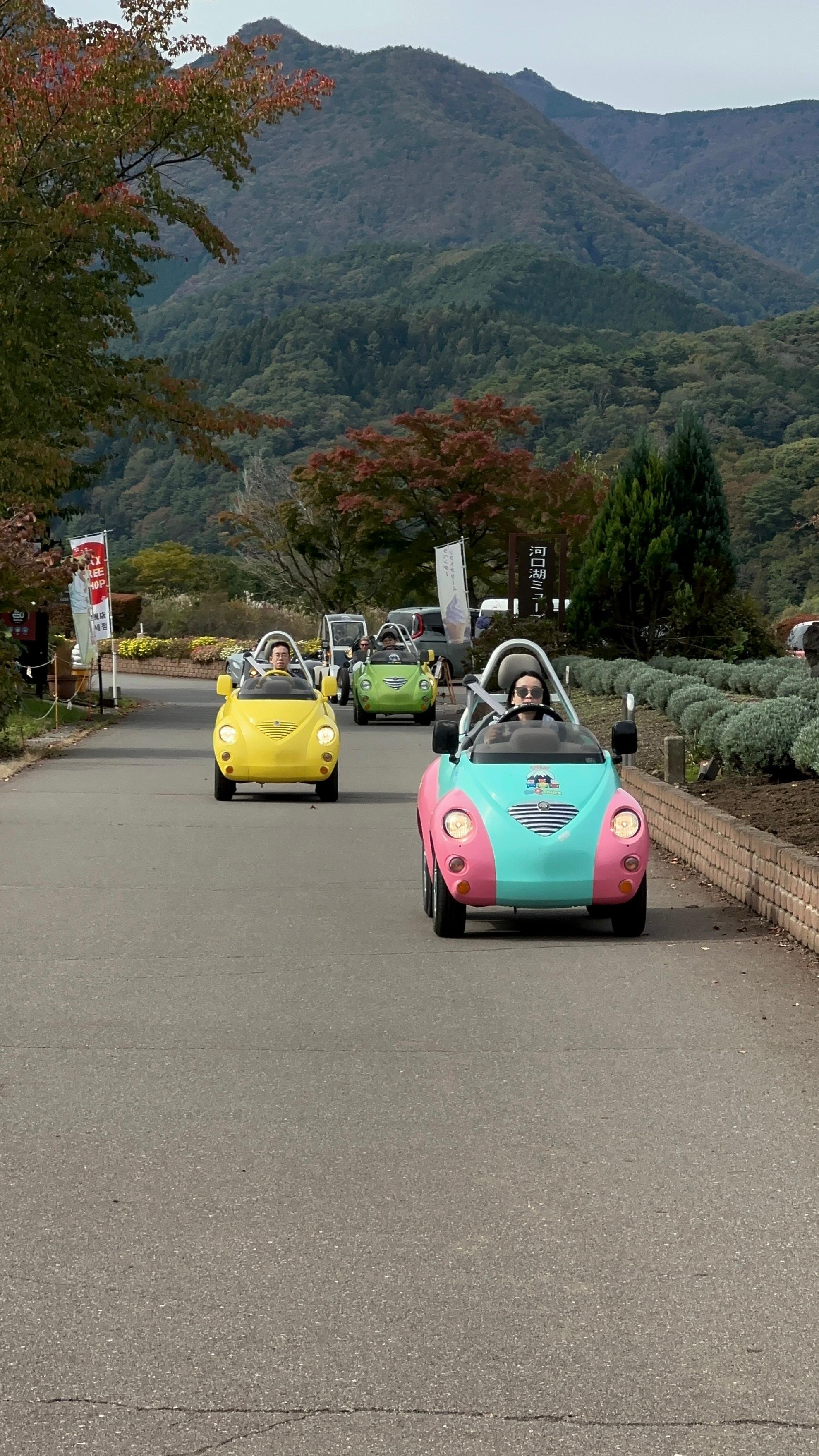 Lake Kawaguchiko Electric Mini Car Guided Tour