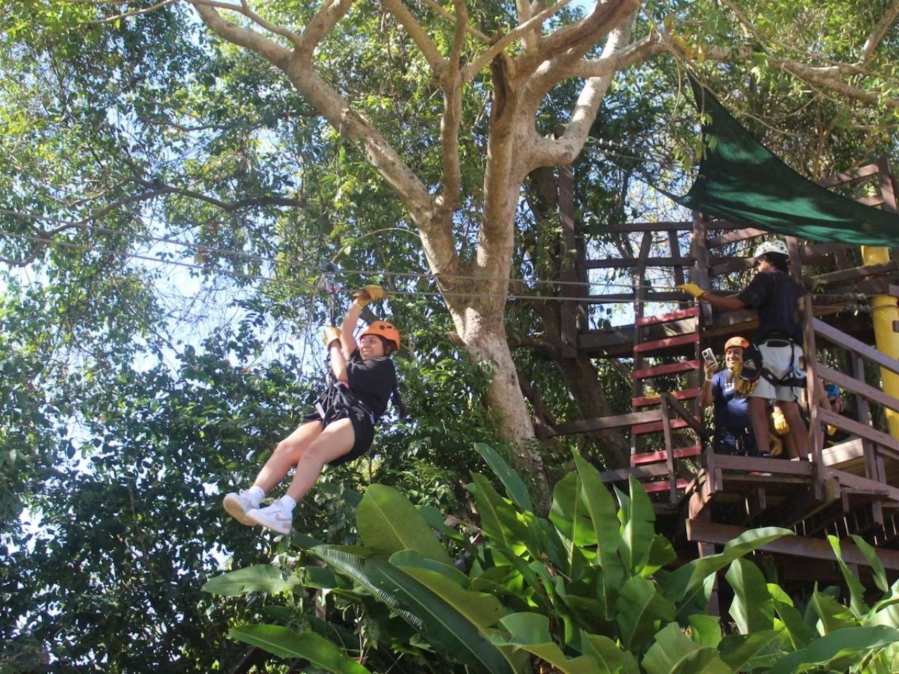 Rio Grande Rainforest Ziplining Adventure