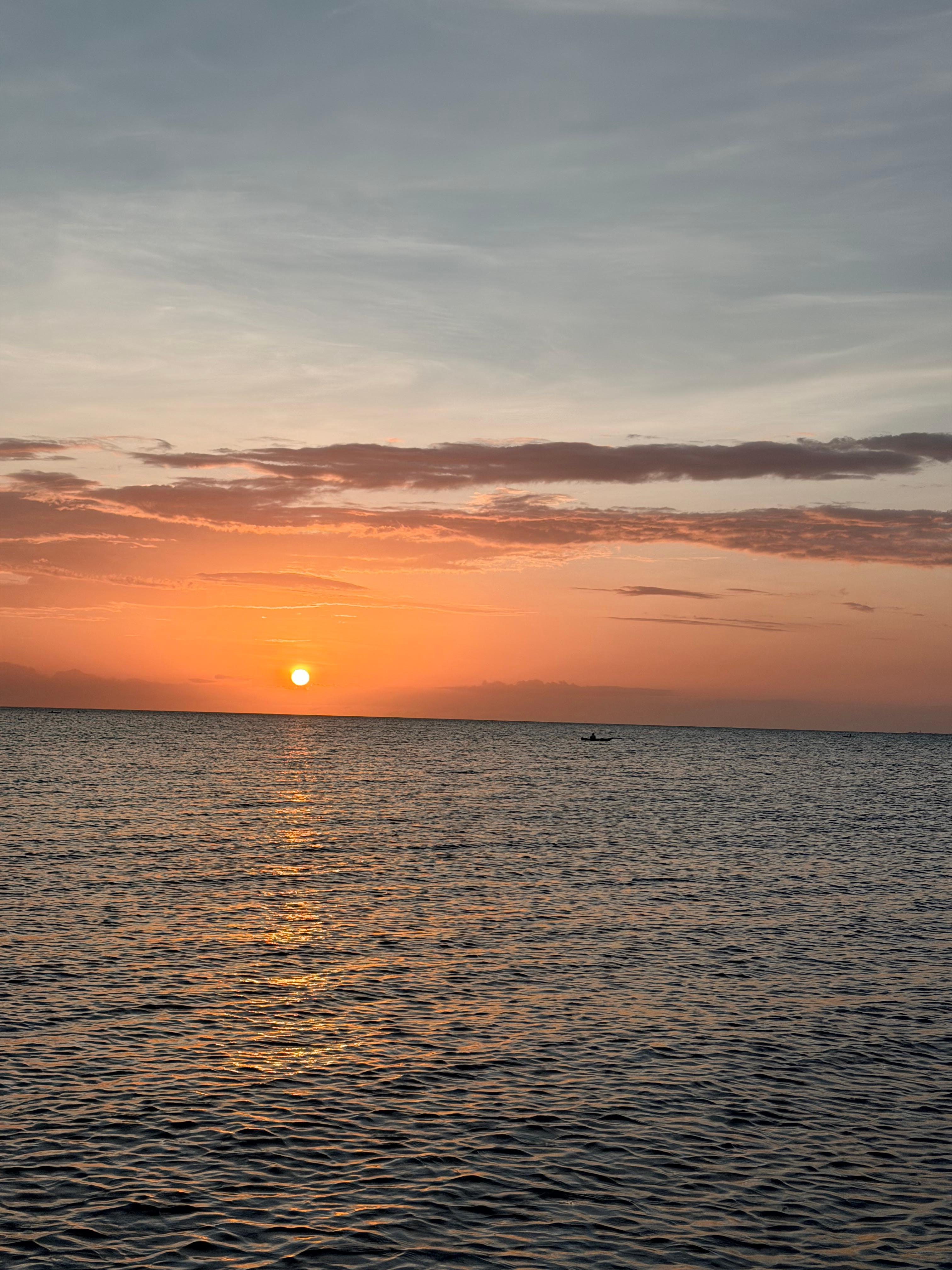 Zanzibar Sunset Dolphin Swim & Mnemba Island Snorkel Tour