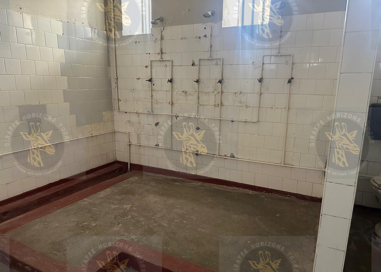 Robben Island Ferry, Prison & Guided Tour from Cape Town