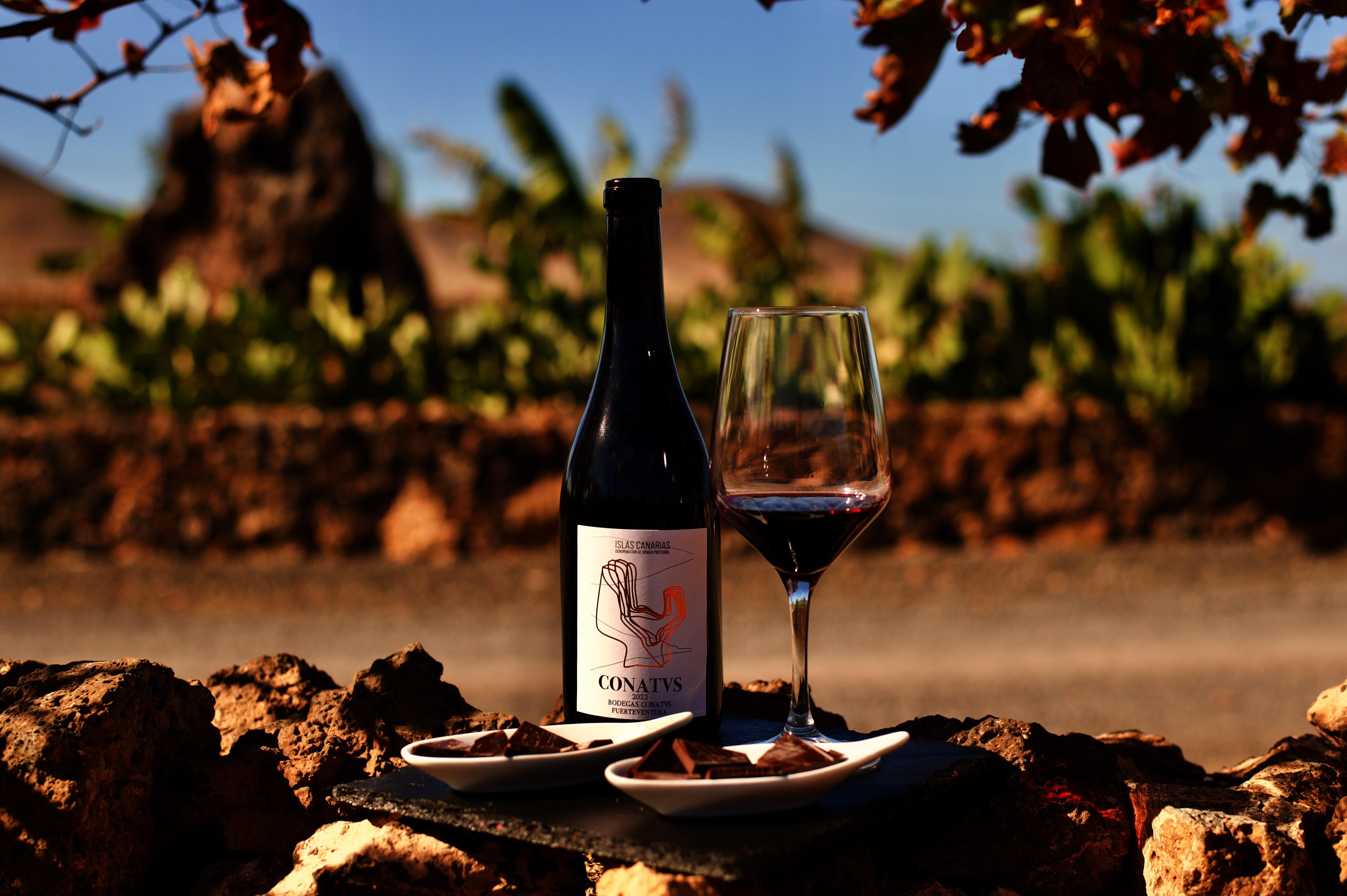 Wine Tasting & El Cotillo Coastal Escape