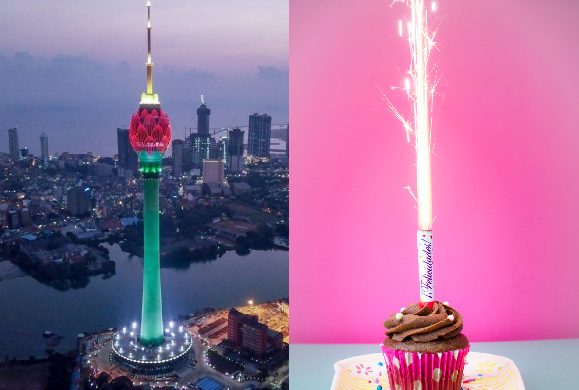 Lotus Tower Celebration Dining with Cake