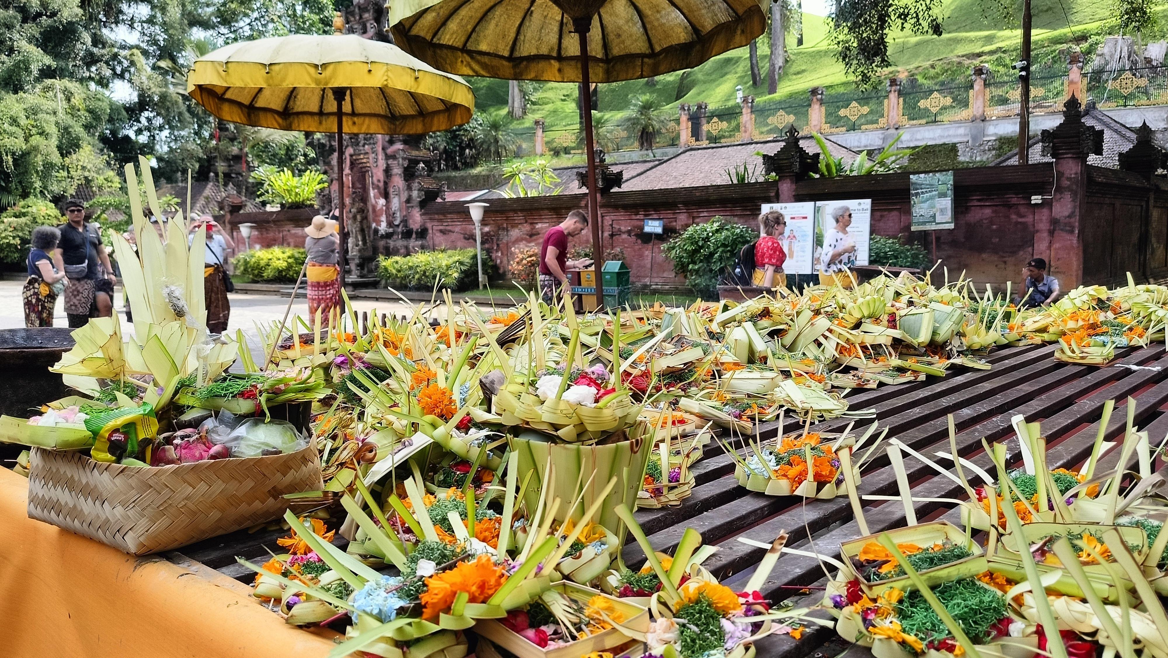 Ubud Cultural Discovery: Sacred Springs, Rice Terraces & Waterfalls