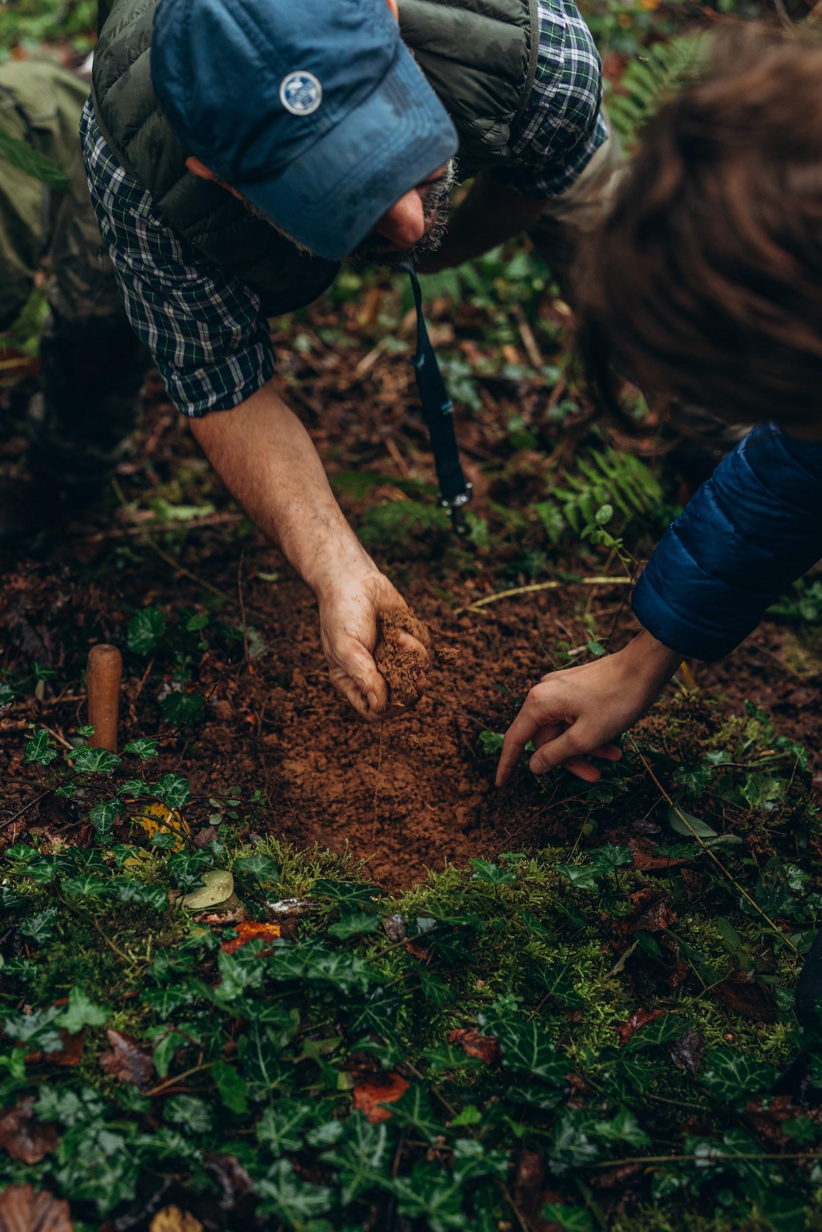 Truffle Hunting Experience in Piedmont