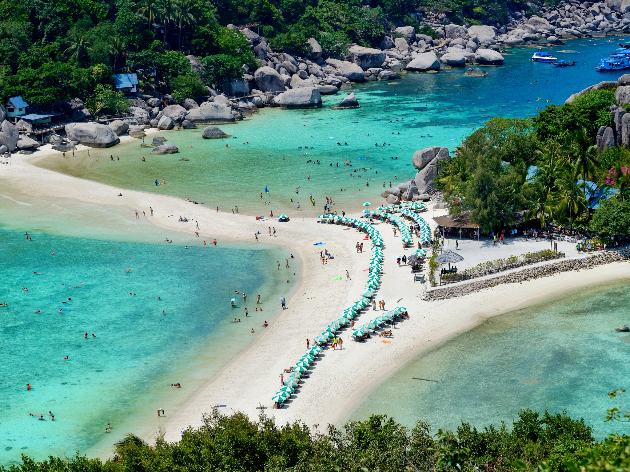 Koh Tao and Nangyuan Snorkeling Speedboat Adventure from Samui