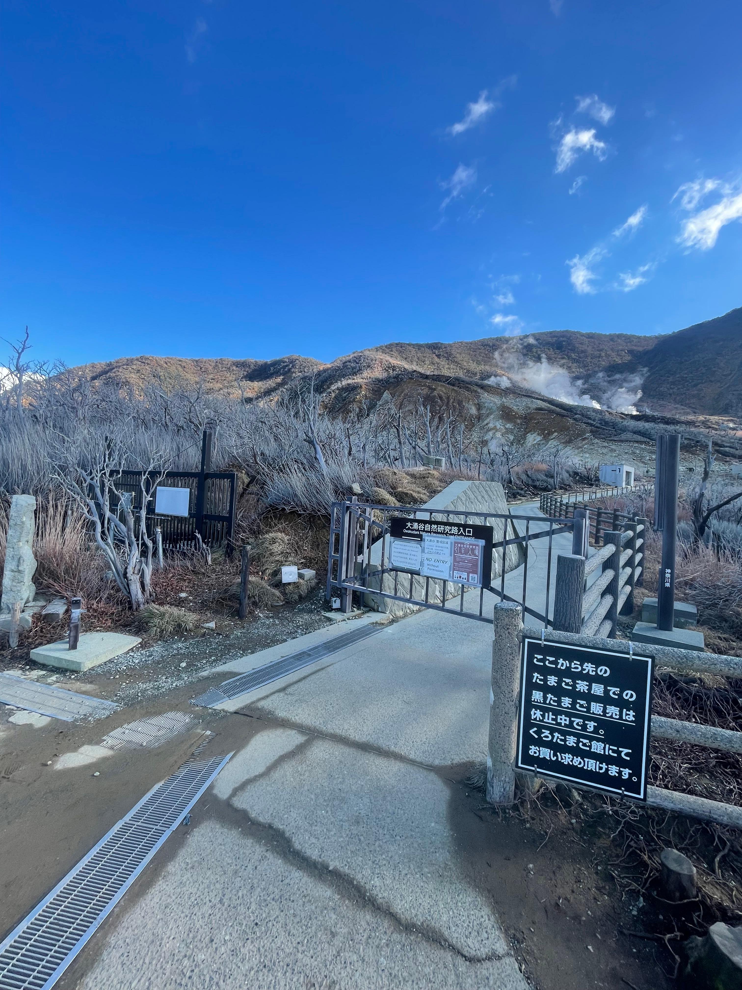 Hakone Private Full-Day Tour from Tokyo