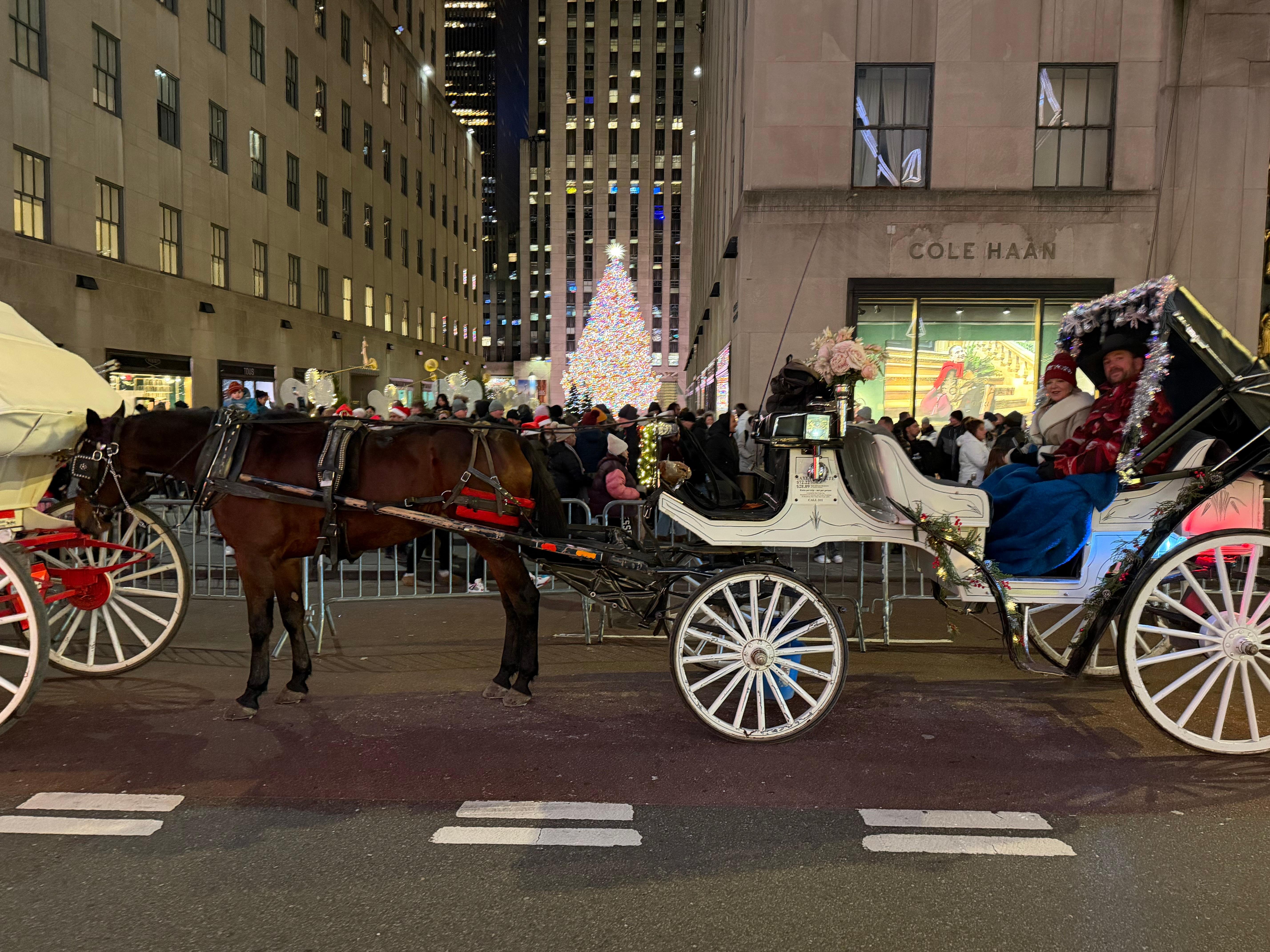 Private Central Park Horse Carriage Tour with Guide