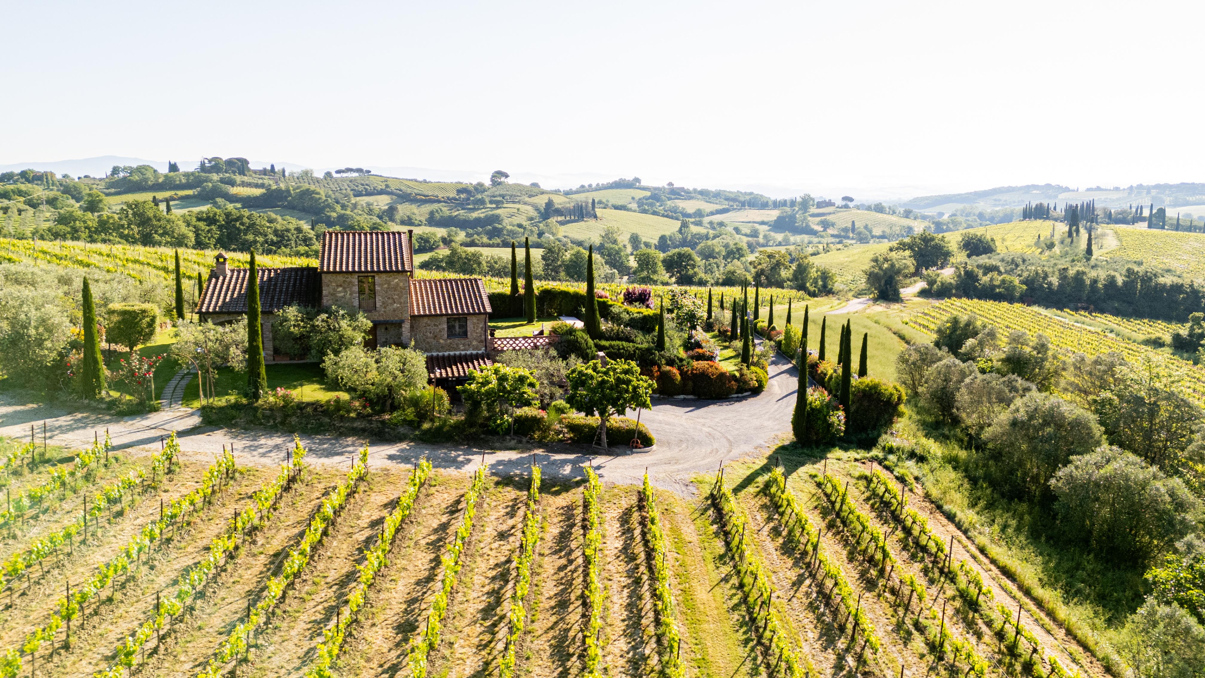 Montepulciano Family Winery Tour & Tasting at Cantina Chiacchiera