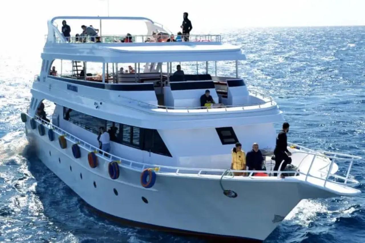 Sharm El Sheikh: Ras Mohamed & White Island Dive & Snorkel Day Trip