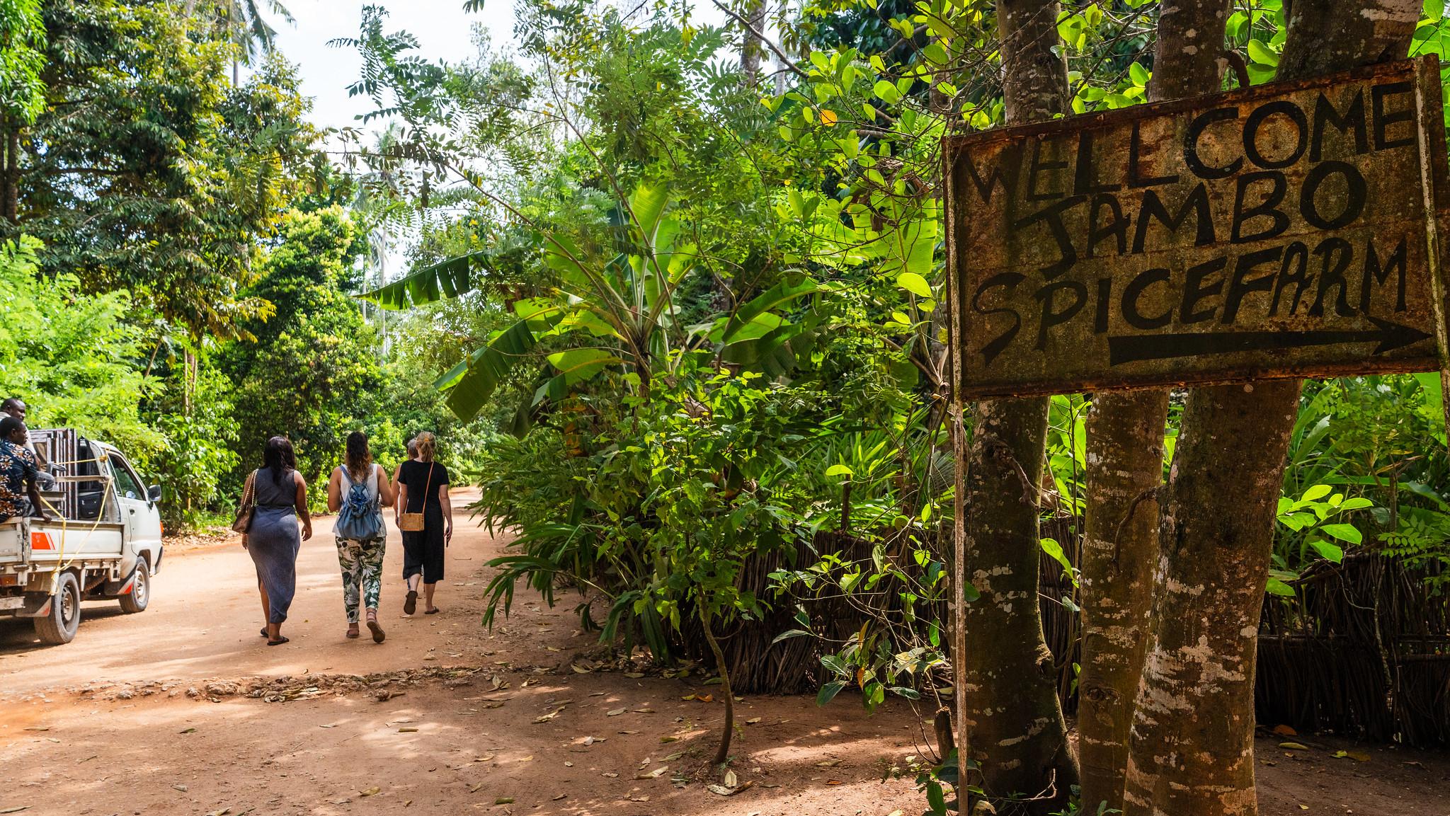 Zanzibar Full-Day Discovery: Stone Town, Spice Farm & Prison Island