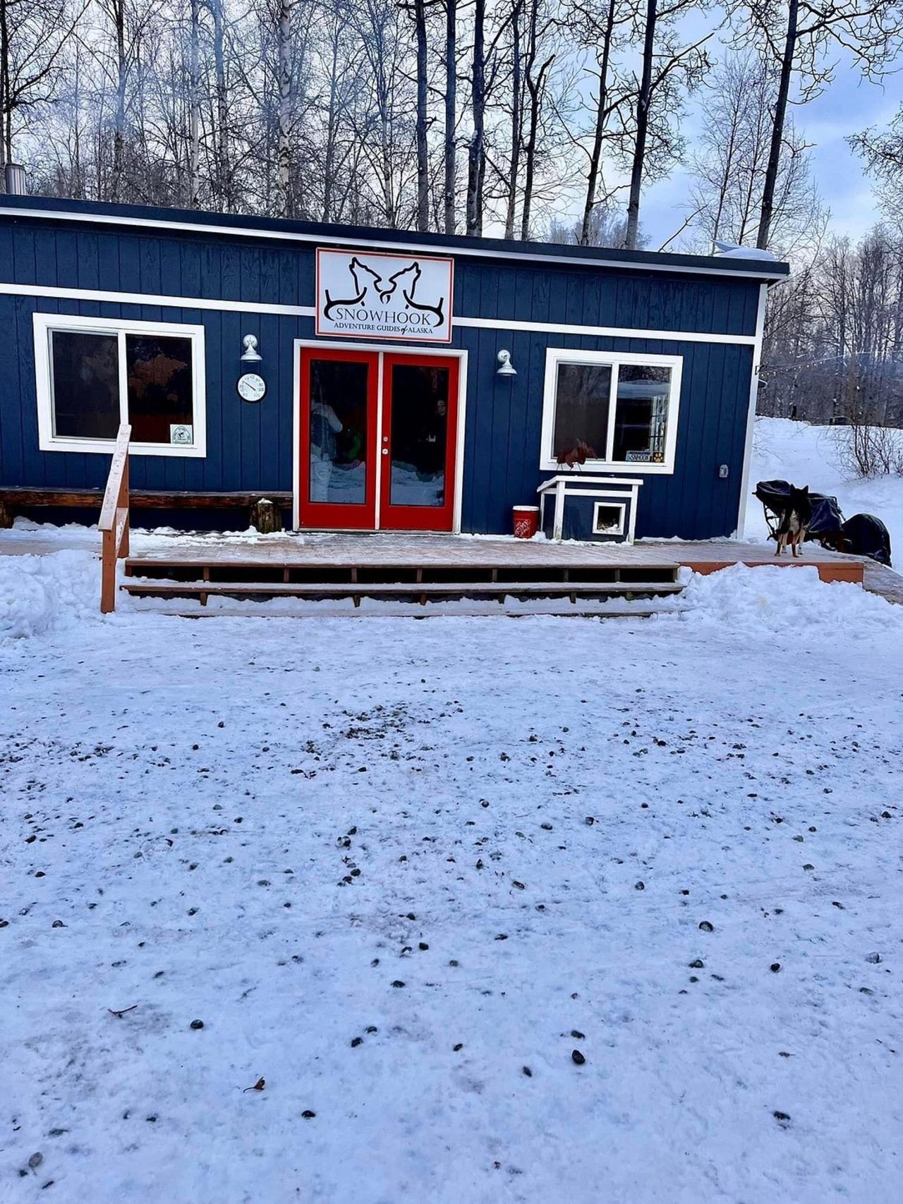 dog sledding in Anchorage — photo 6
