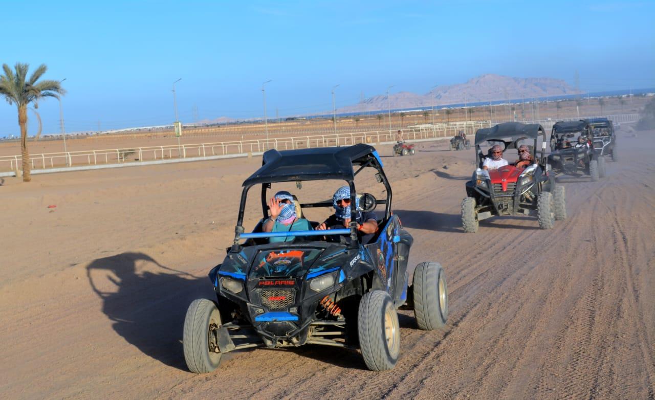 Sharm El-Sheikh Desert Safari: ATV Ride, Camel Trek, Stargazing & Bedouin BBQ