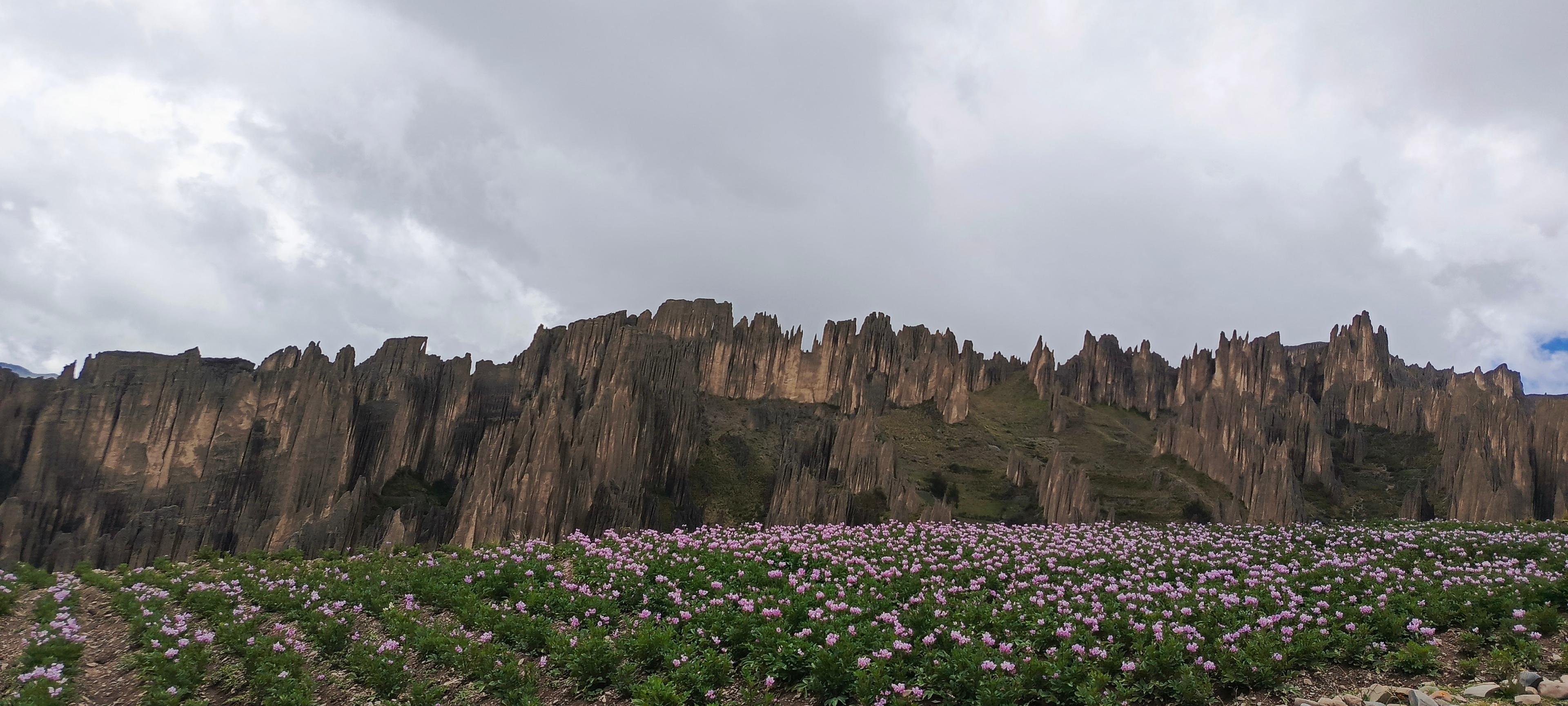 Aventure d'une demi-journée : Valle de las Animas, Vallée de la Lune et Killi Killi