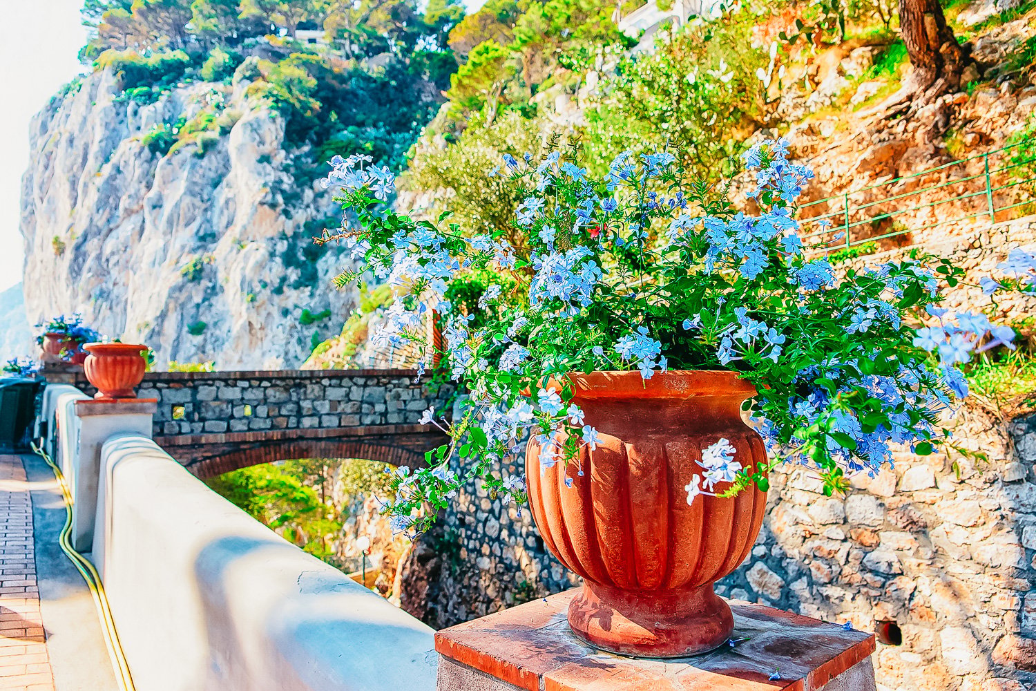 Capri & Blue Grotto Day Trip from Naples