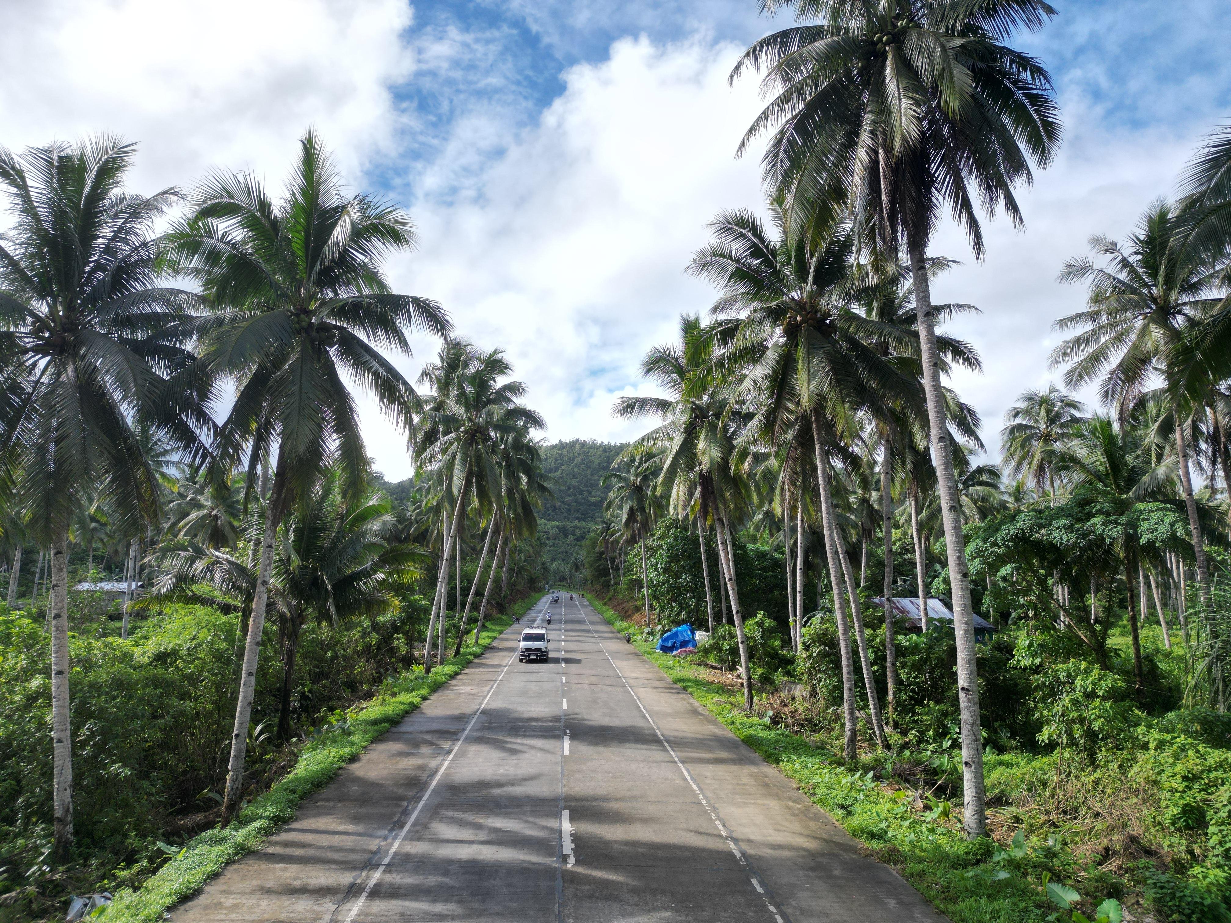 Siargao Island Hopping: Sugba Lagoon & Rock Pools Adventure