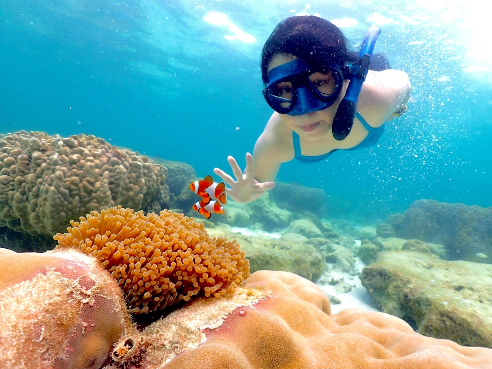 Nemo Island Snorkeling Excursion from Pattaya