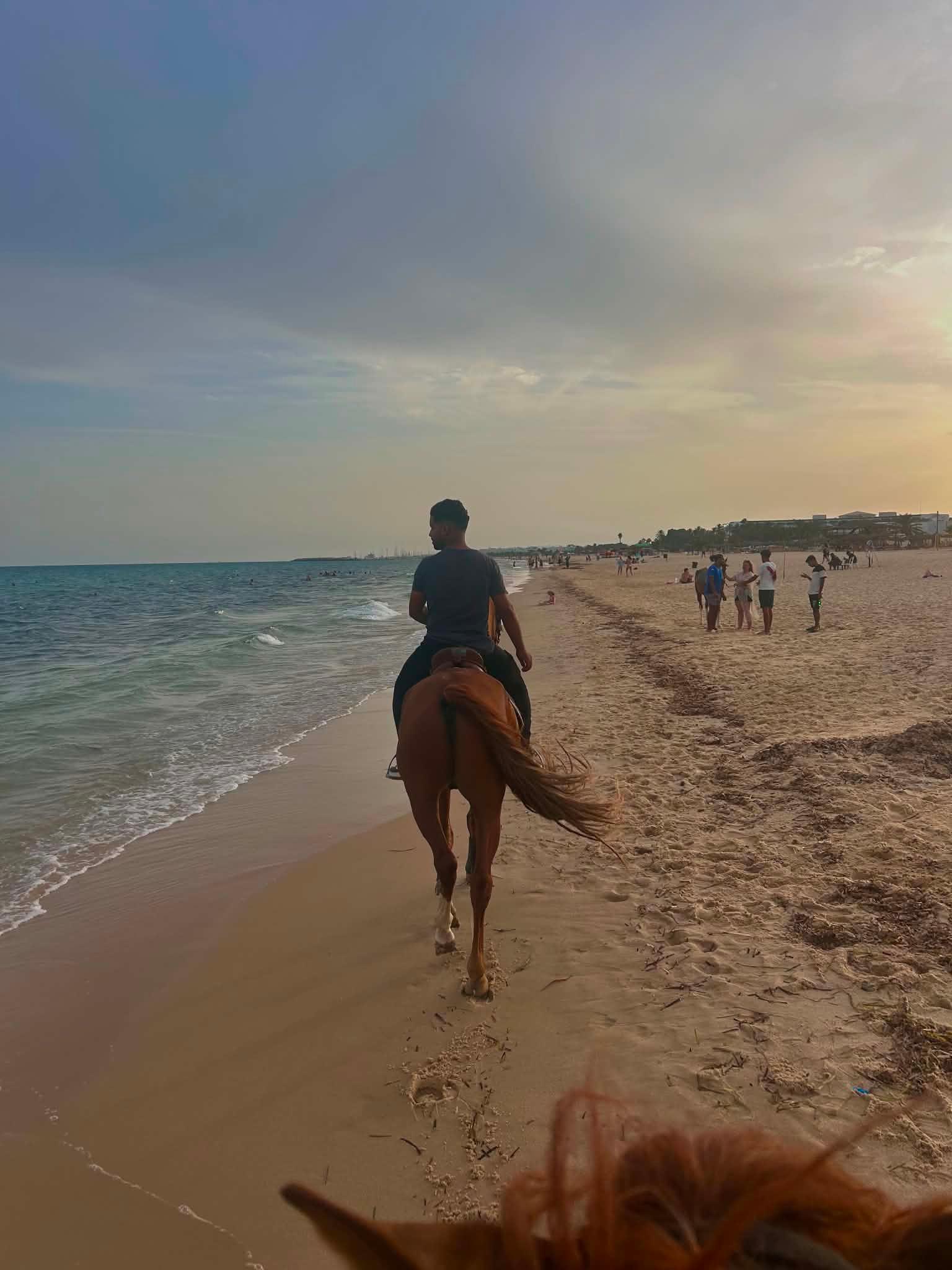 Hammamet Beach Horseback Riding Adventure